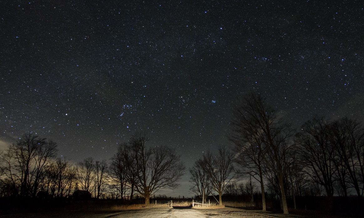 Winter Night
