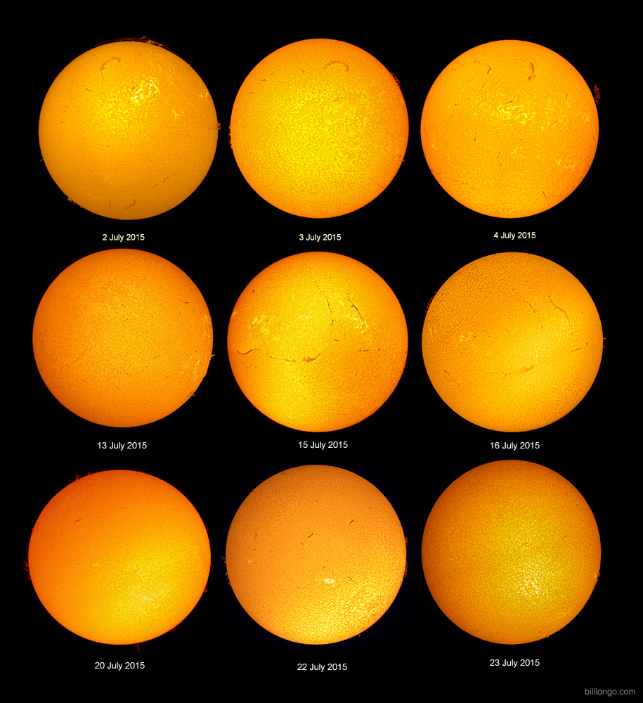 9 Sunny Days