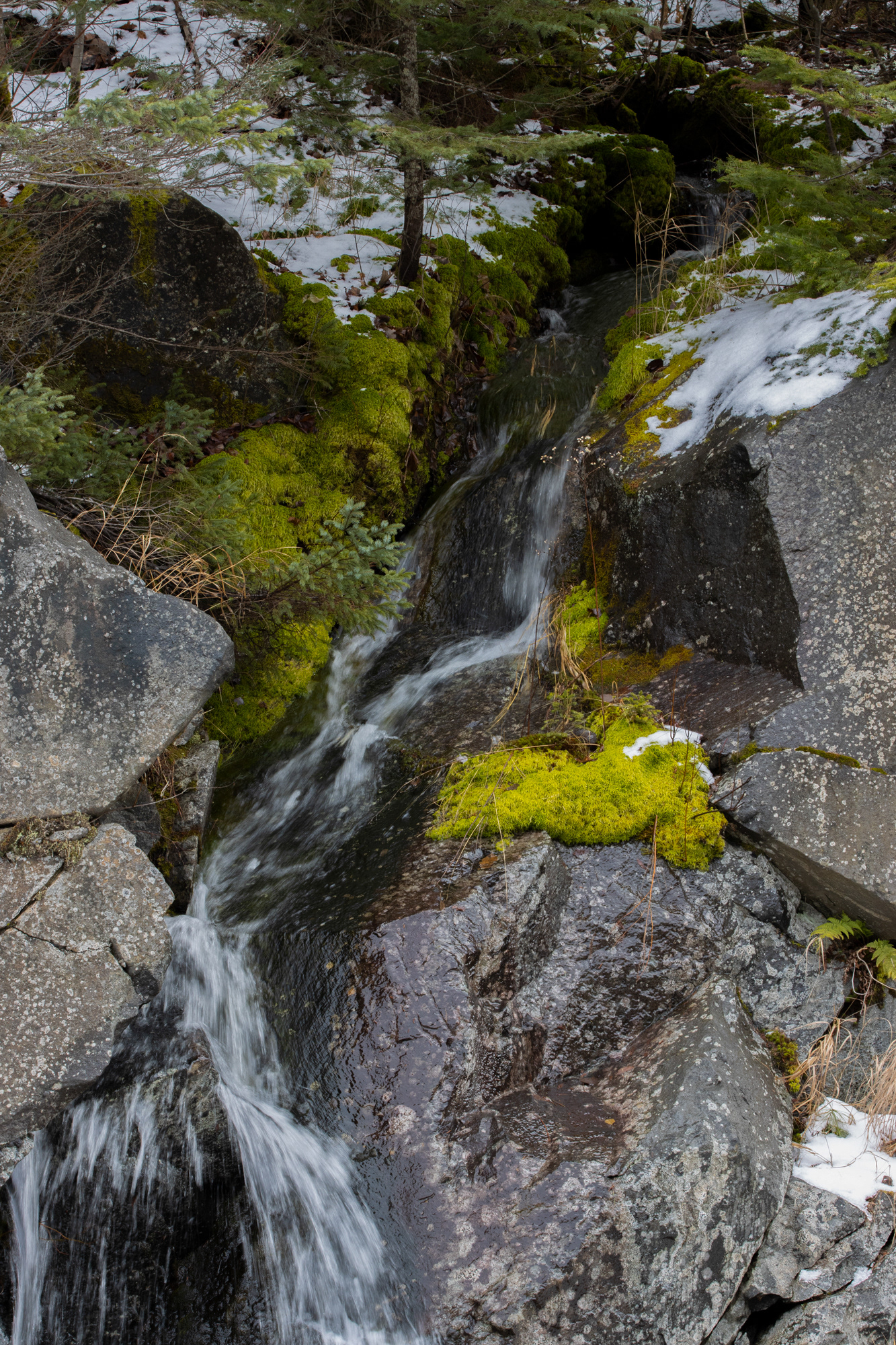 Runoff