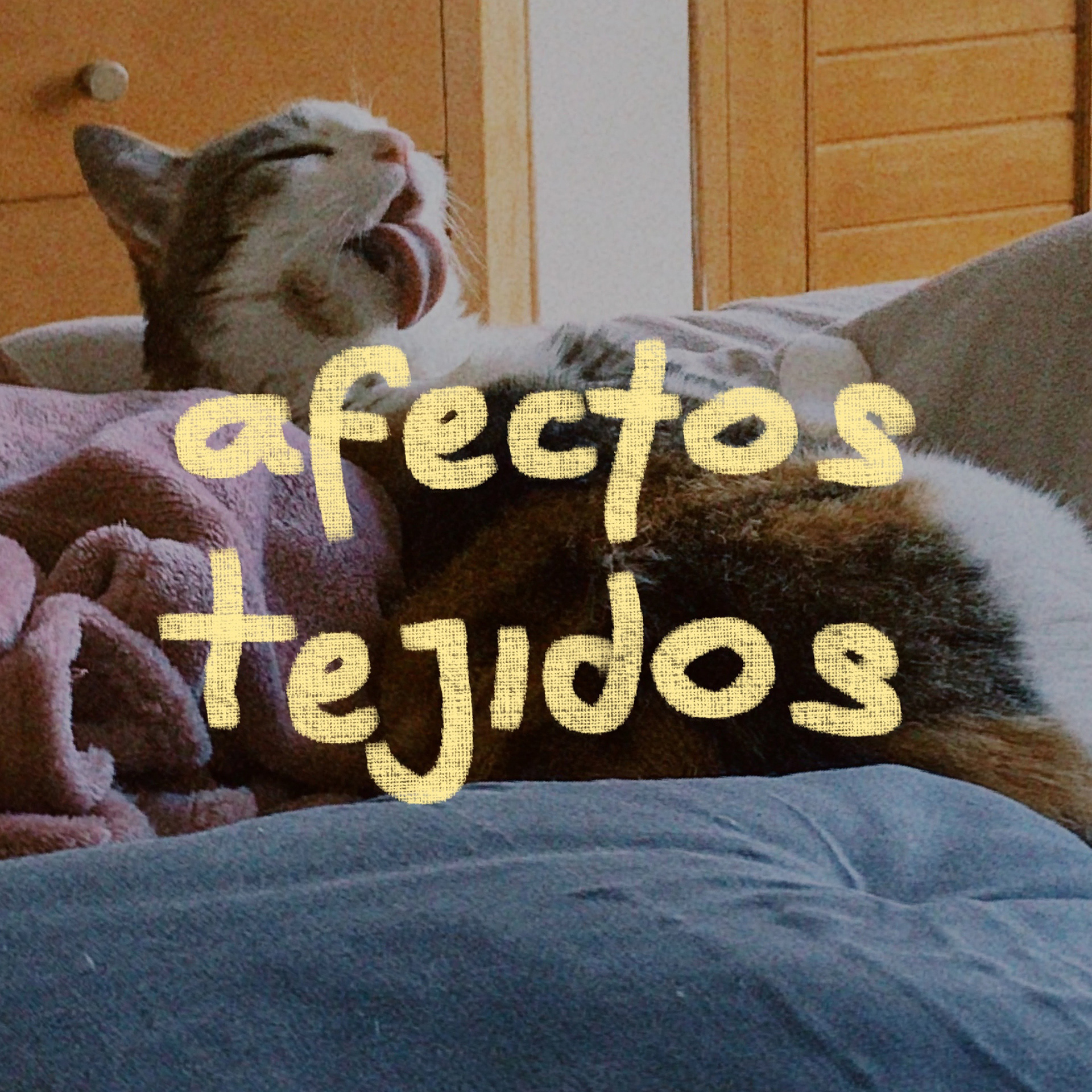 Tertulias donde nos acompañamos a crear, escuchamos nuestros sentires, nos abrazamos en colectivo, nos conocemos mejor y en el camino, tejemos comunidad.