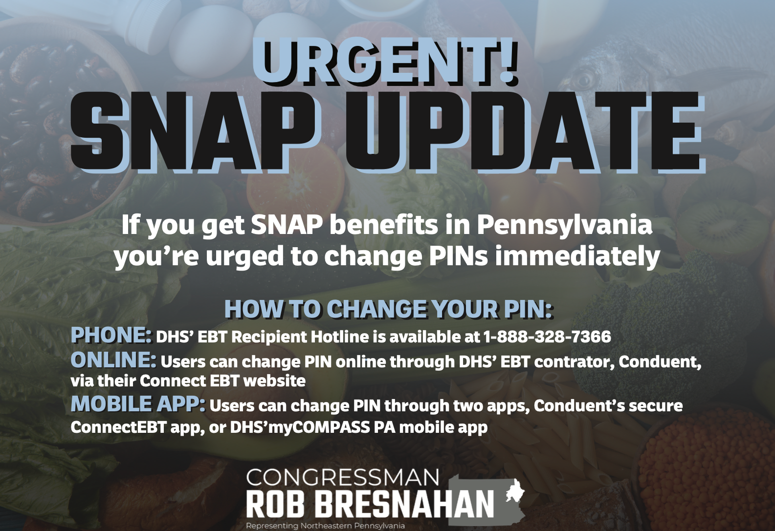 SNAP graphic