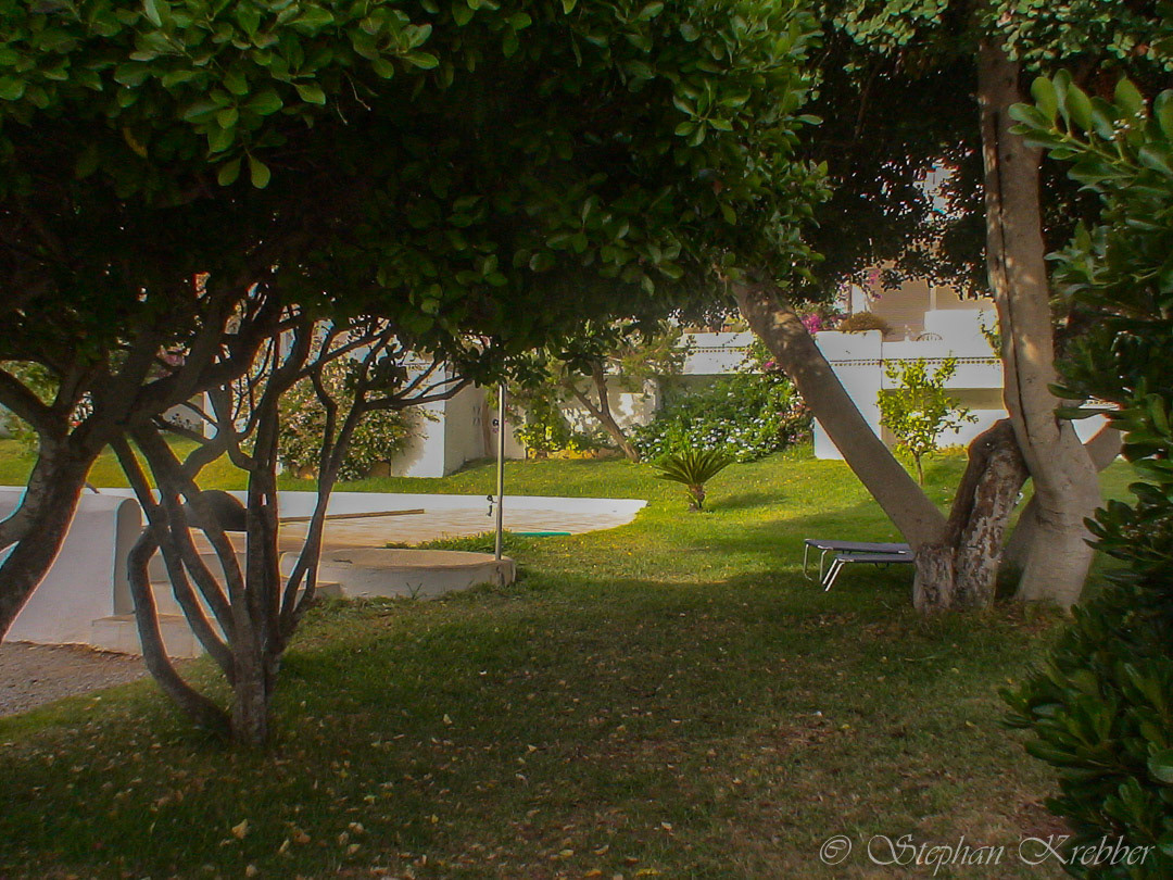 Schatten unter den Bäumen