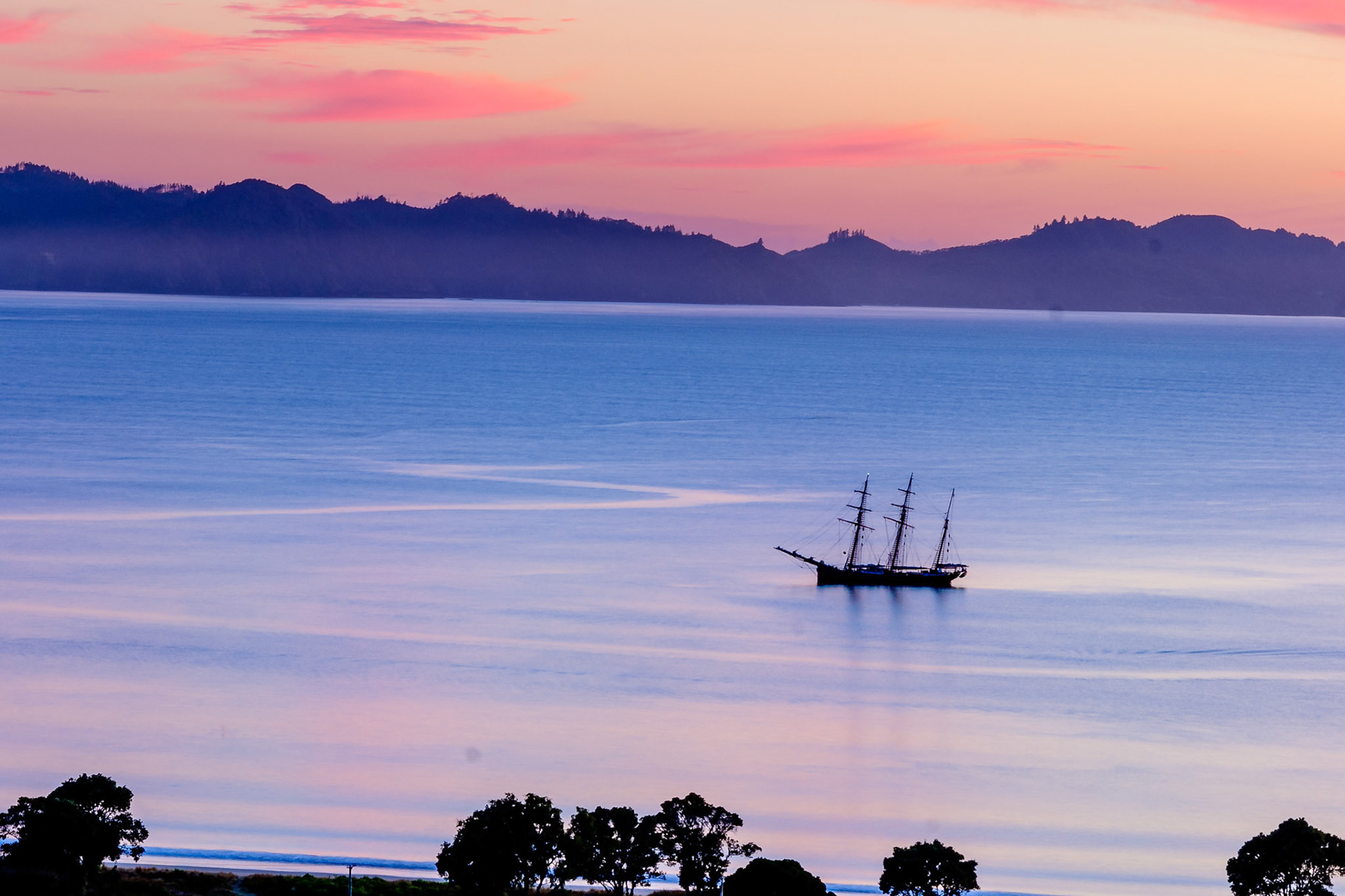Nature's canvas - Cooks Beach, New Zealand
