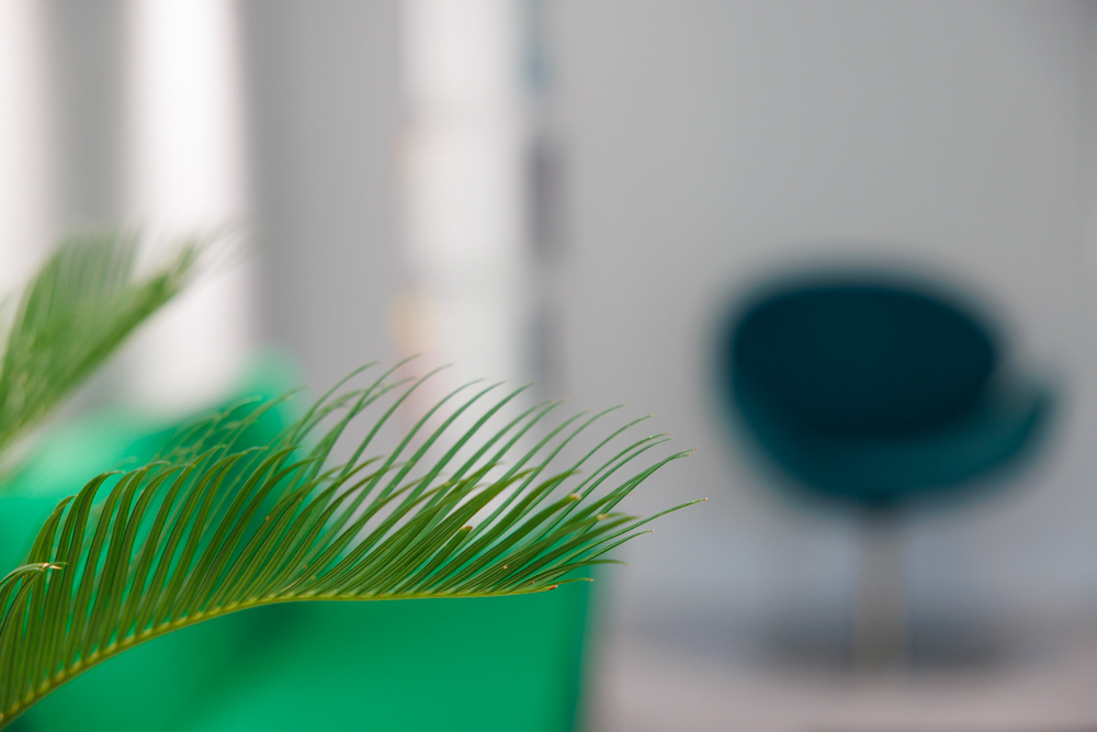 Brändikuvaus Gynekologipalvelu Ala-Fossi