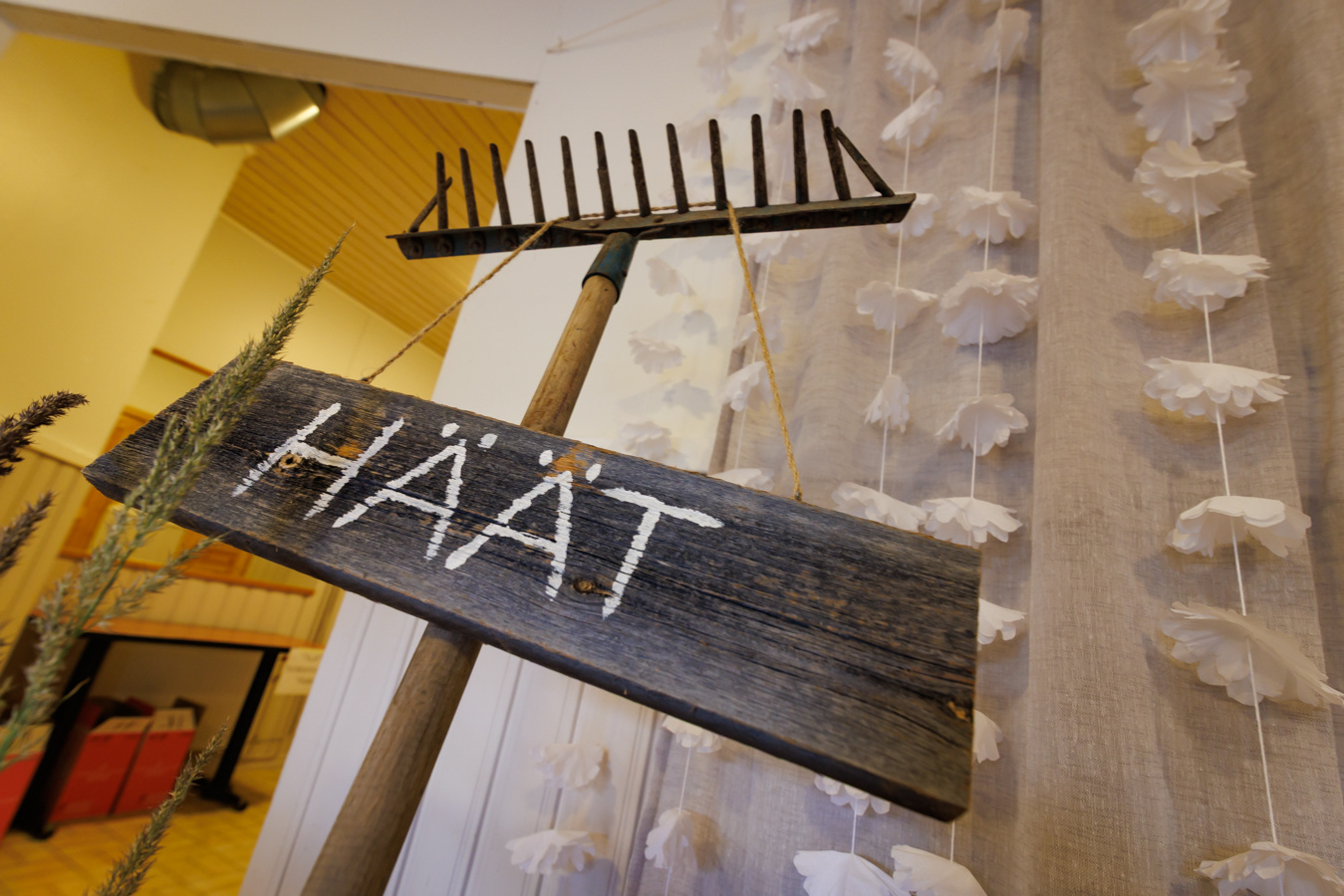 Häissä on usein paljon yksityiskohtia kuvattavaksi.