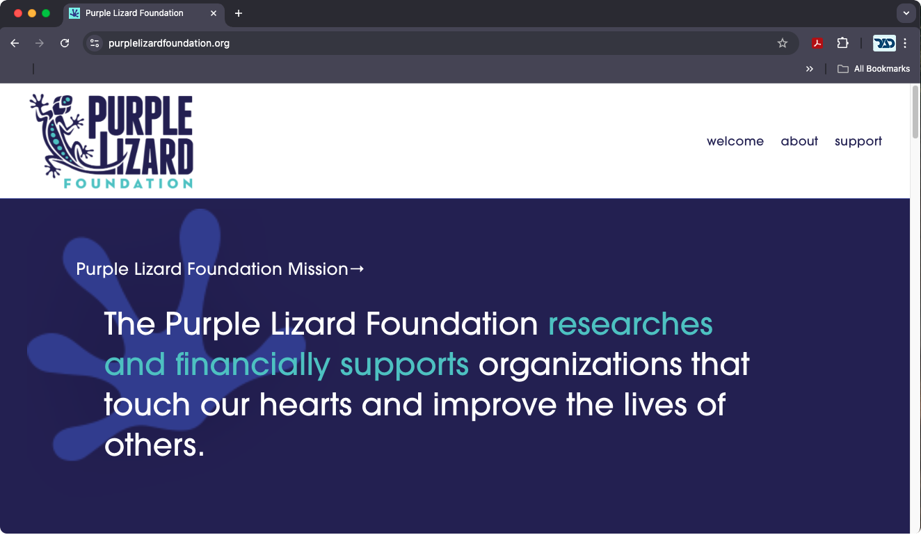 Purple Lizard website design
