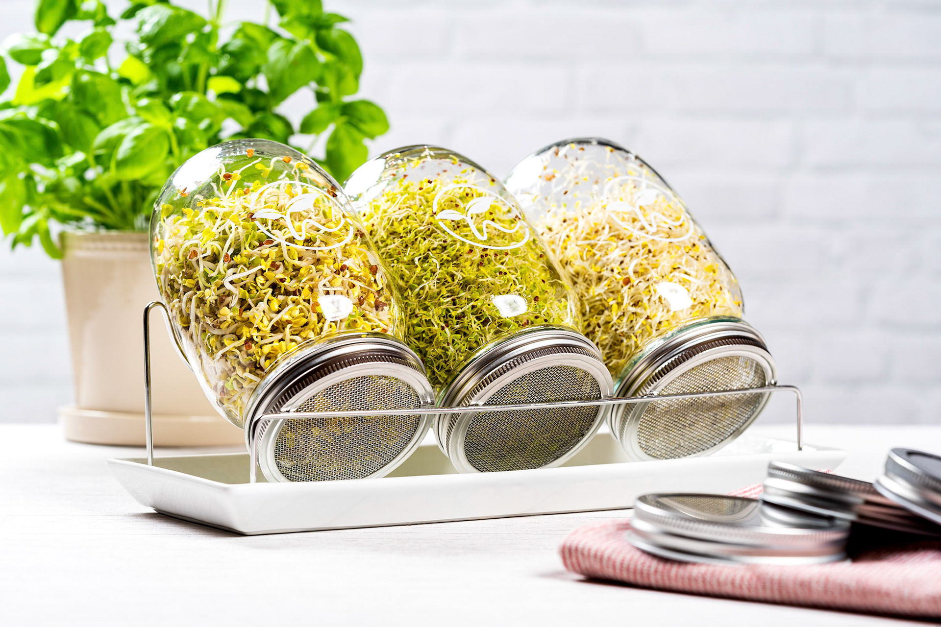 PRODUKTFOTOGRAFIE FÜR NAKANA SPROSSENGLÄSER