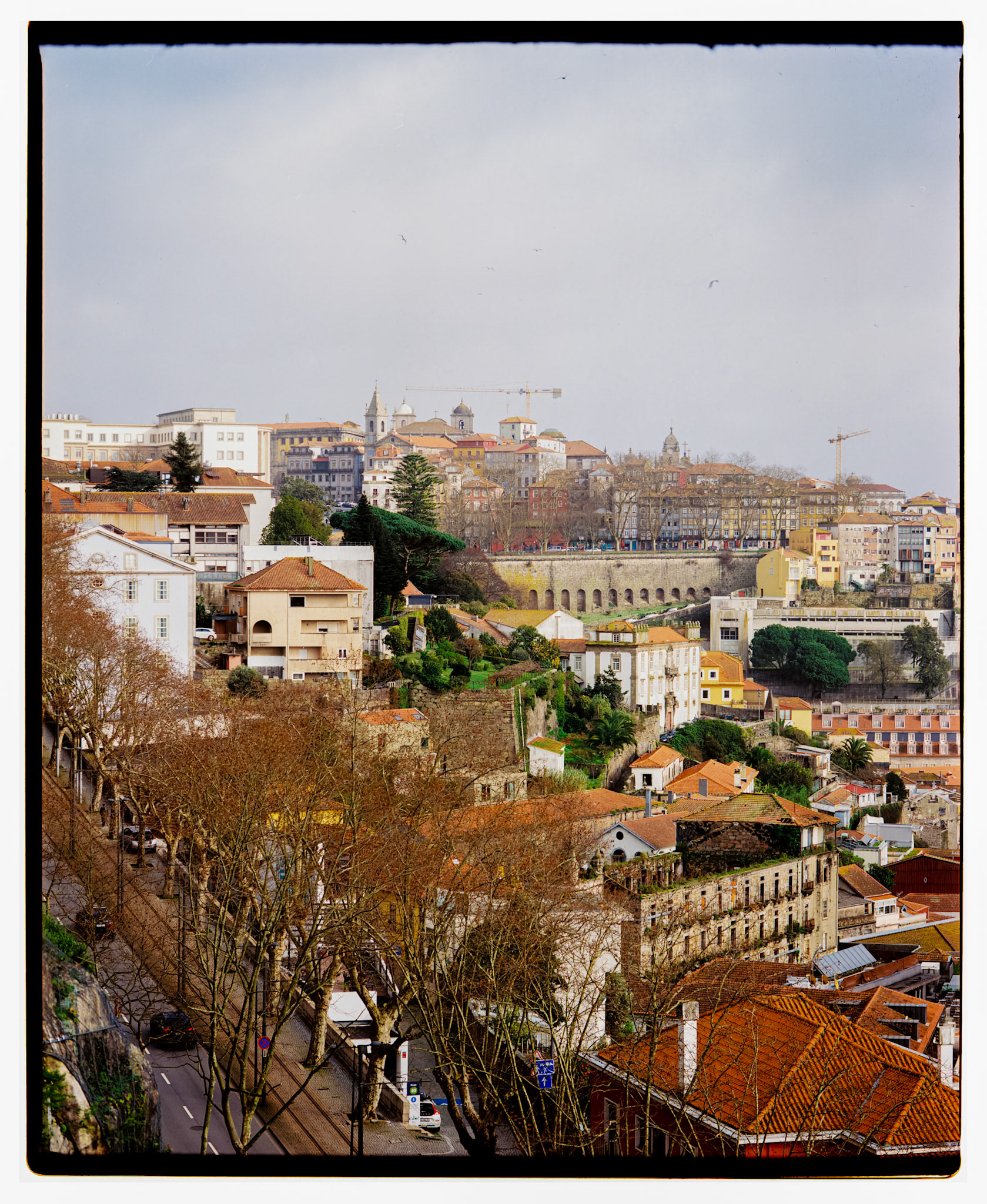 Kodak Ektar 100 on 6x7 medium format