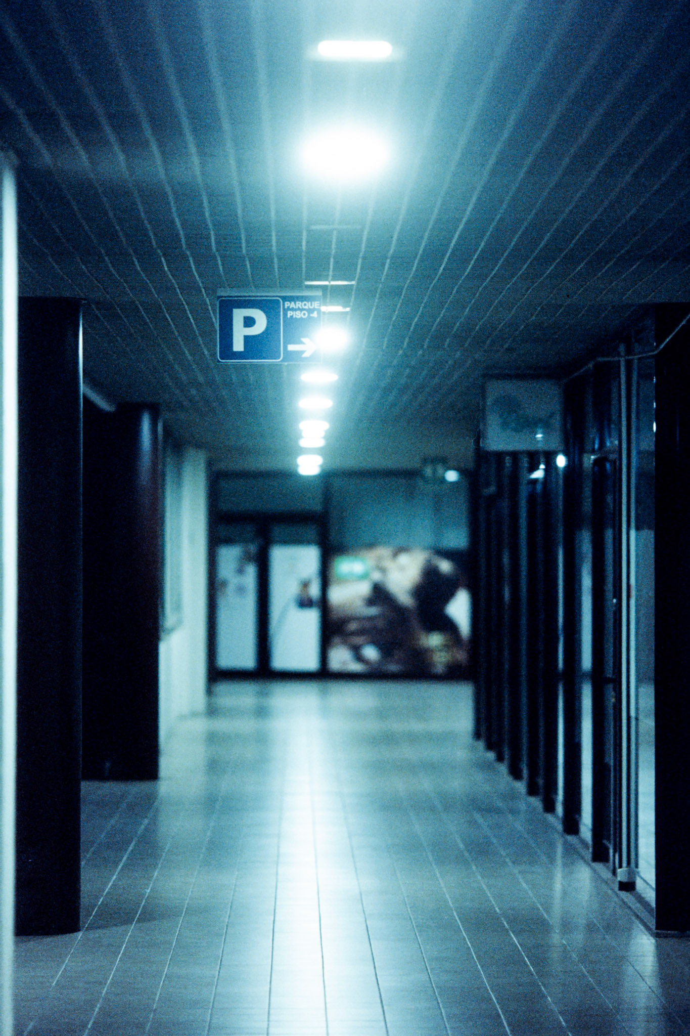 Kodak Vision3 500T on 35mm