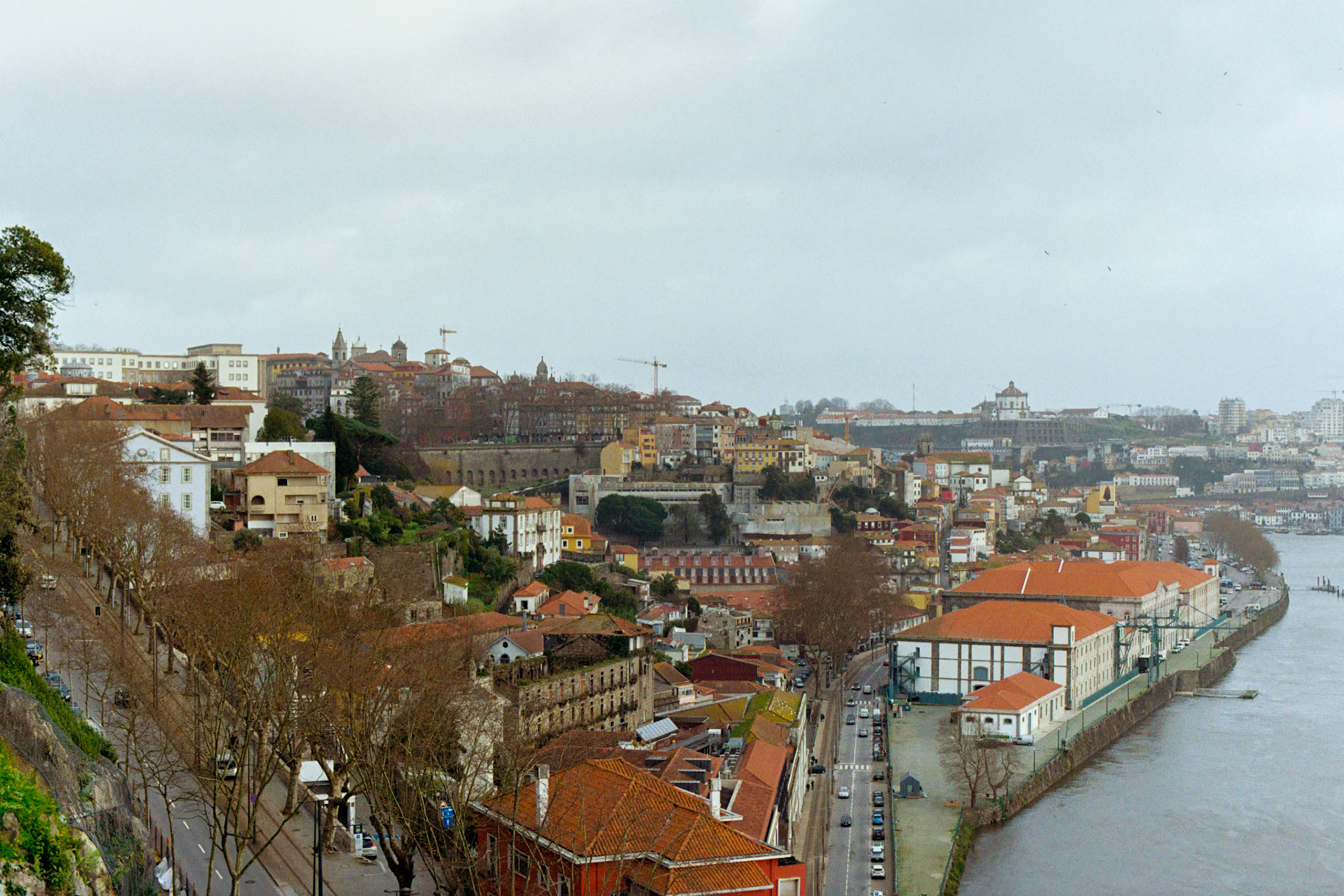 Kodak Gold 200 on 35mm