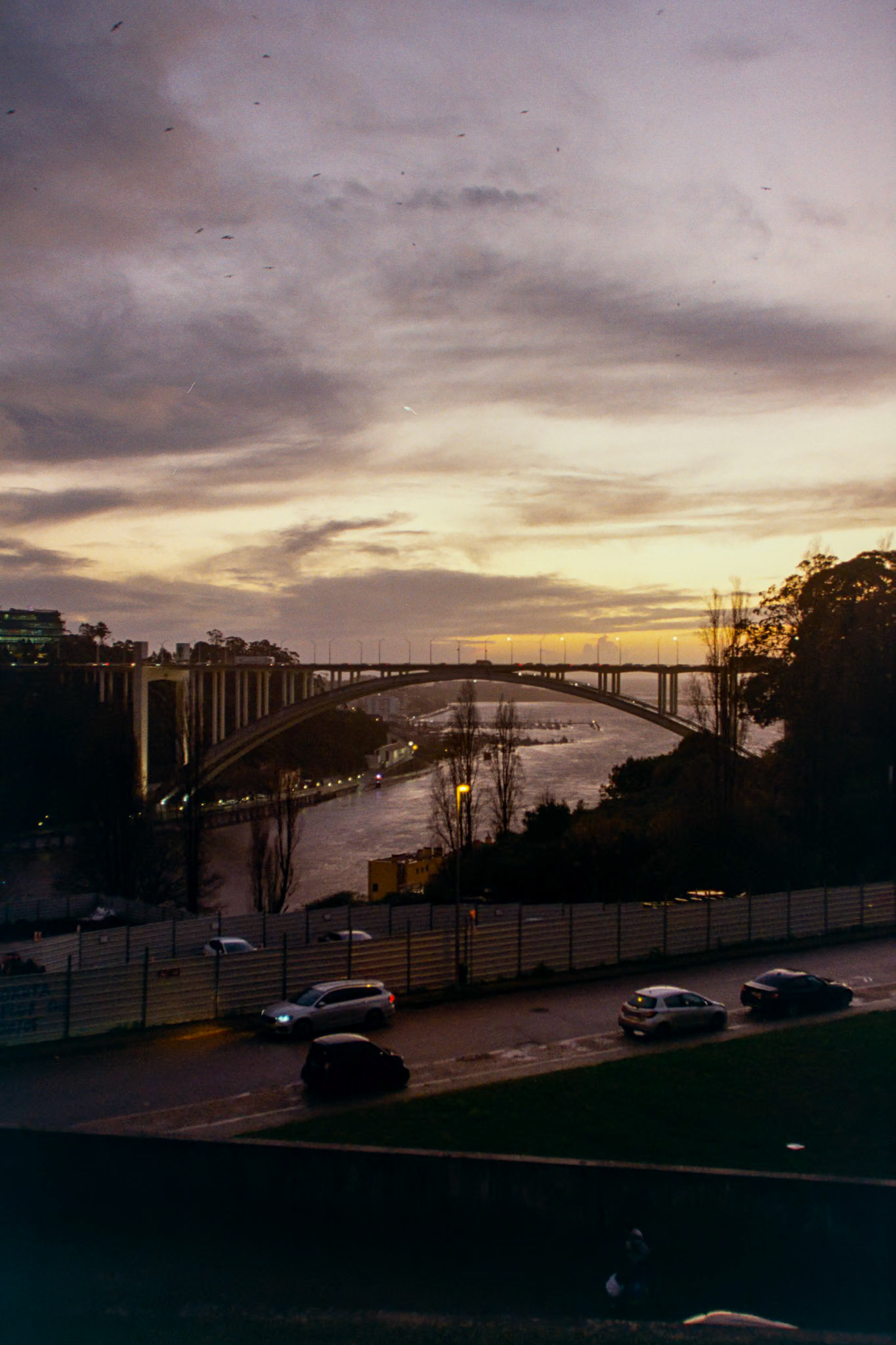 Kodak Gold 200 on 35mm