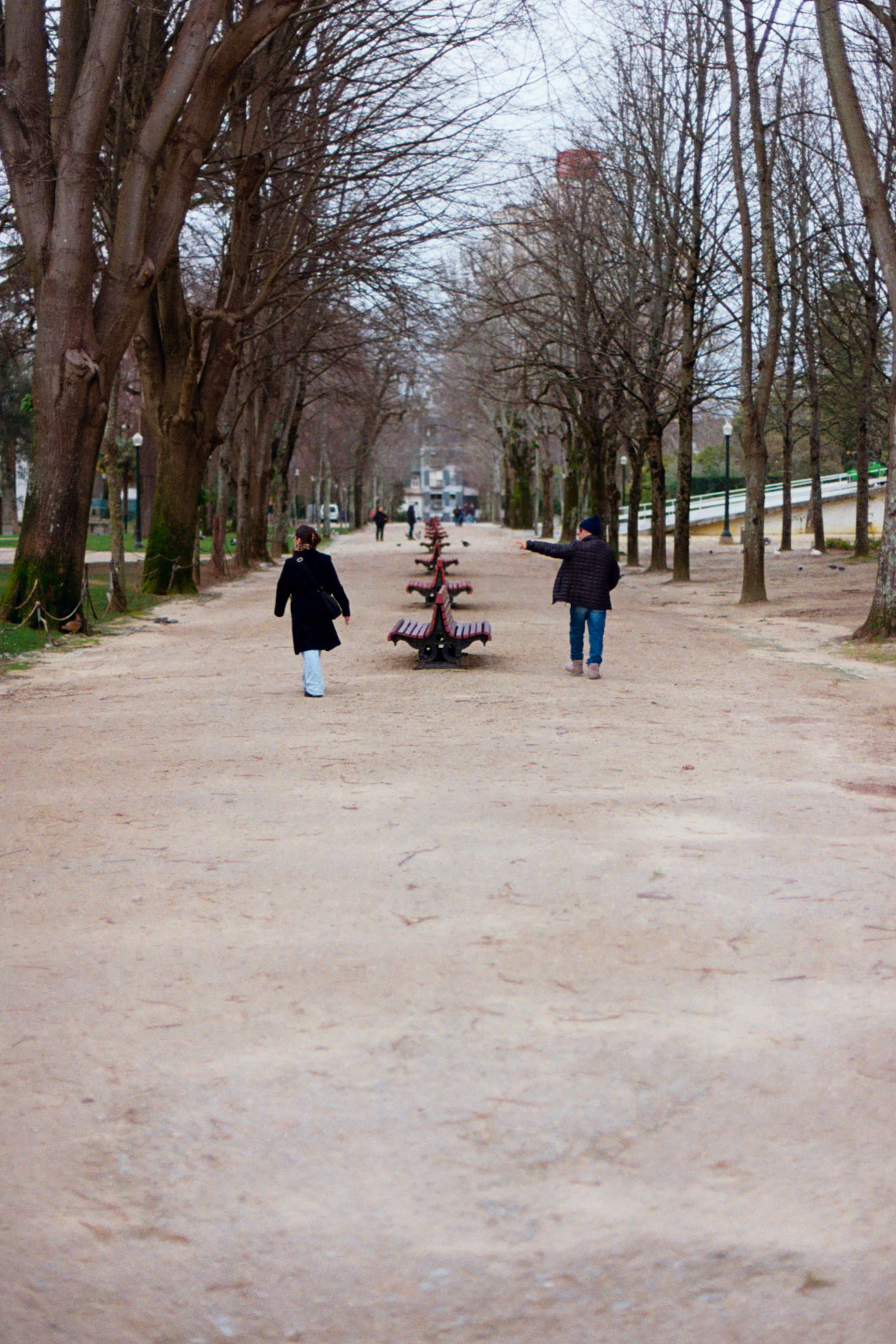 Kodak Gold 200 on 35mm