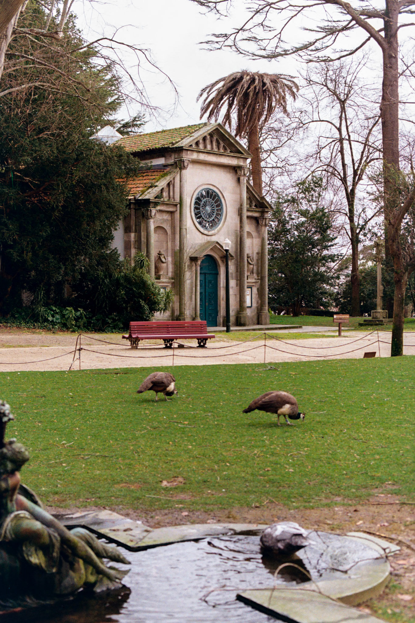 Kodak Gold 200 on 35mm