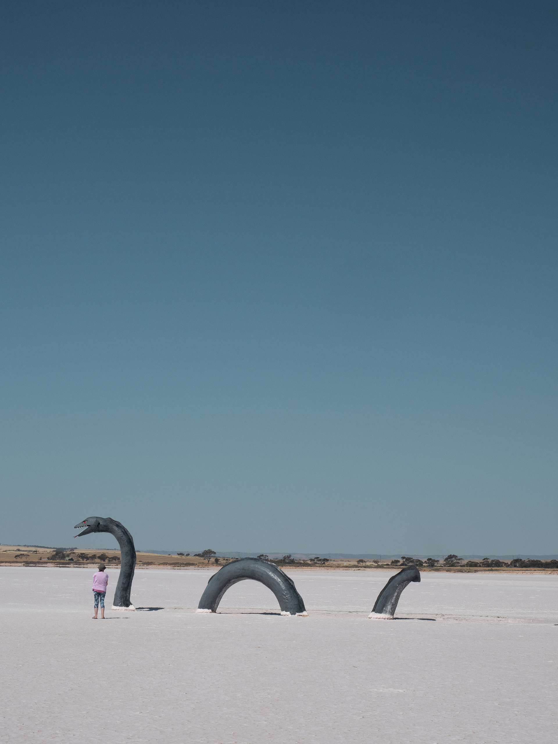 Lake Bumbunga. Loch Eil Monster Sculpture