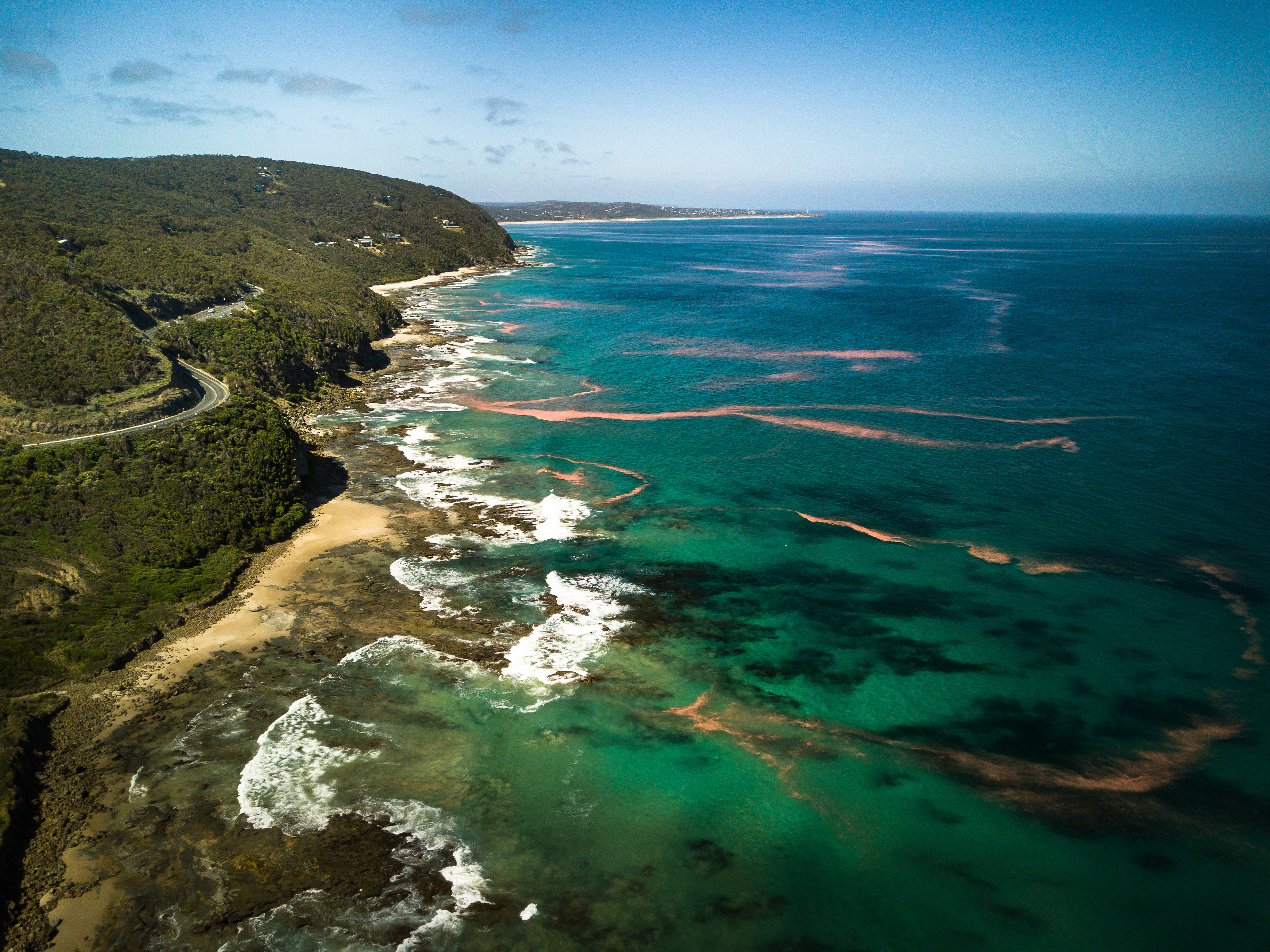 Great Ocean Road- Algae bloom