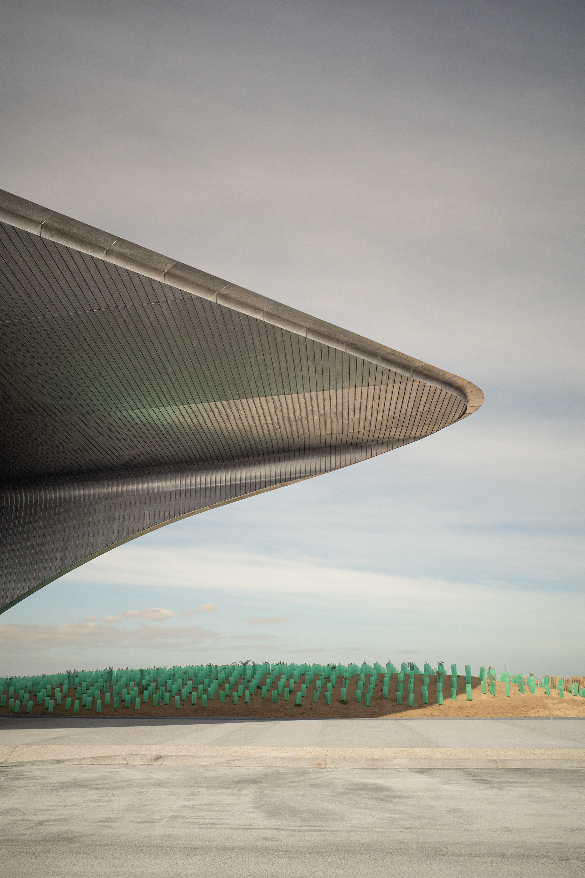 Queenscliff Ferry terminal-Ricoh GR3