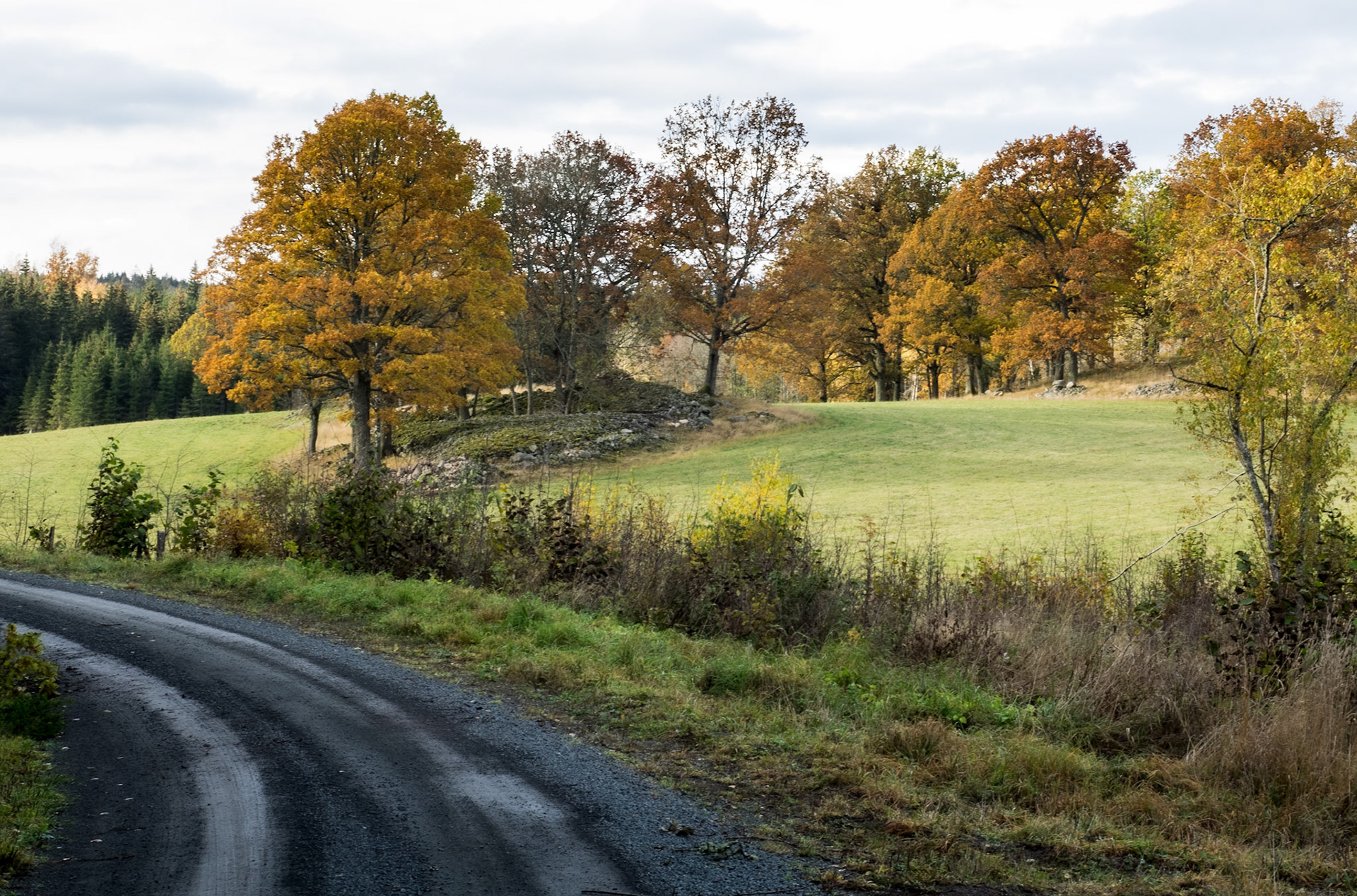Sweden - Foserum - October 2019