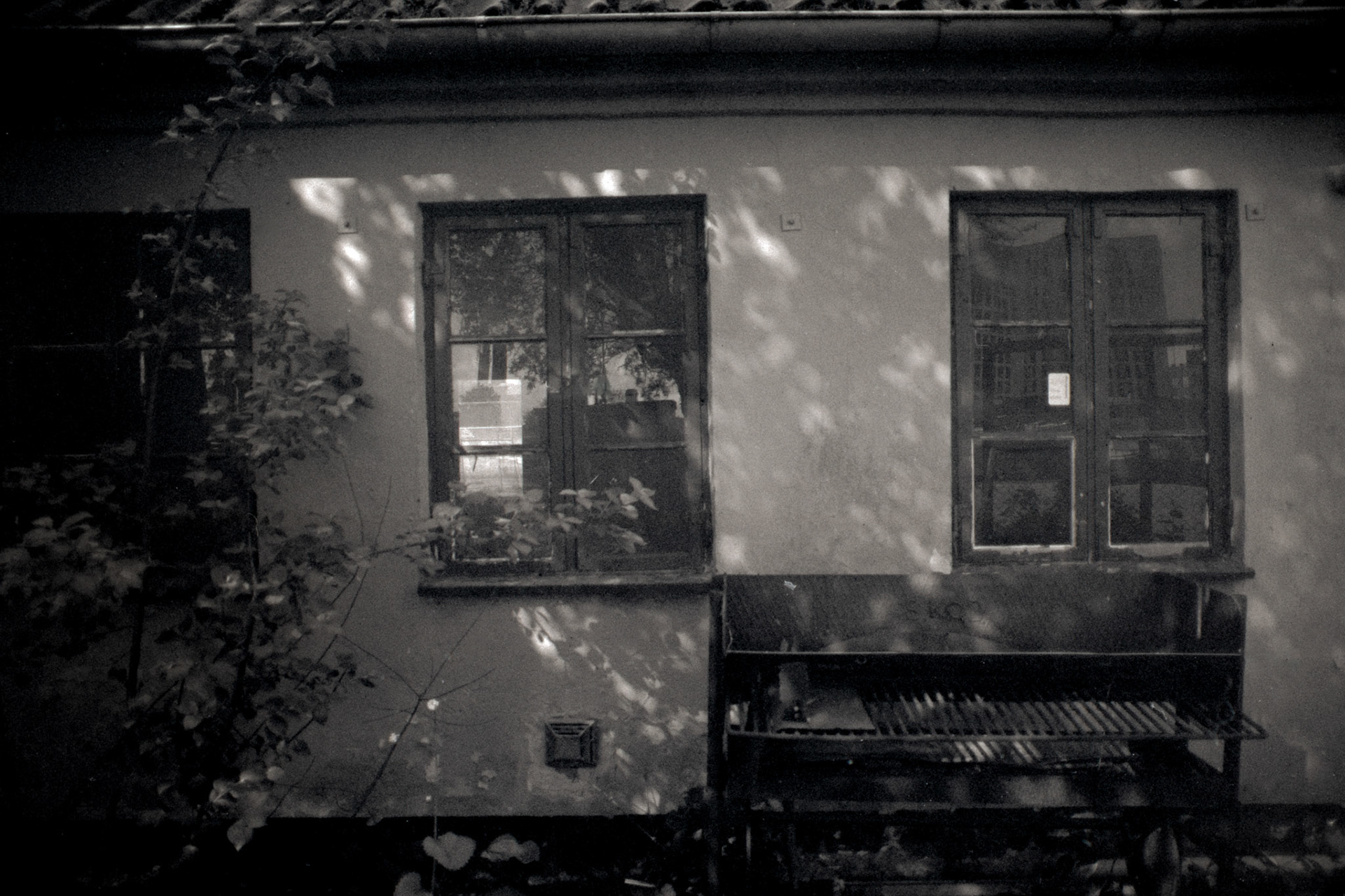 Olympus OM4 Gl-Pan-F Skoejtevej