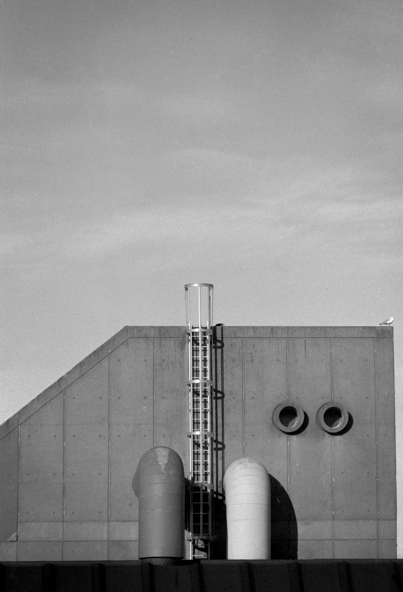 Ilford Pan F - gl. film 1991 - Reffen - Olympus OM4