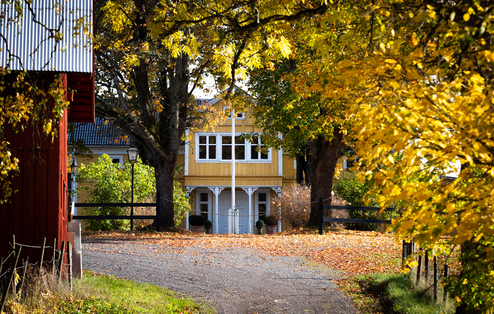 Sweden - Foserum - October 2020