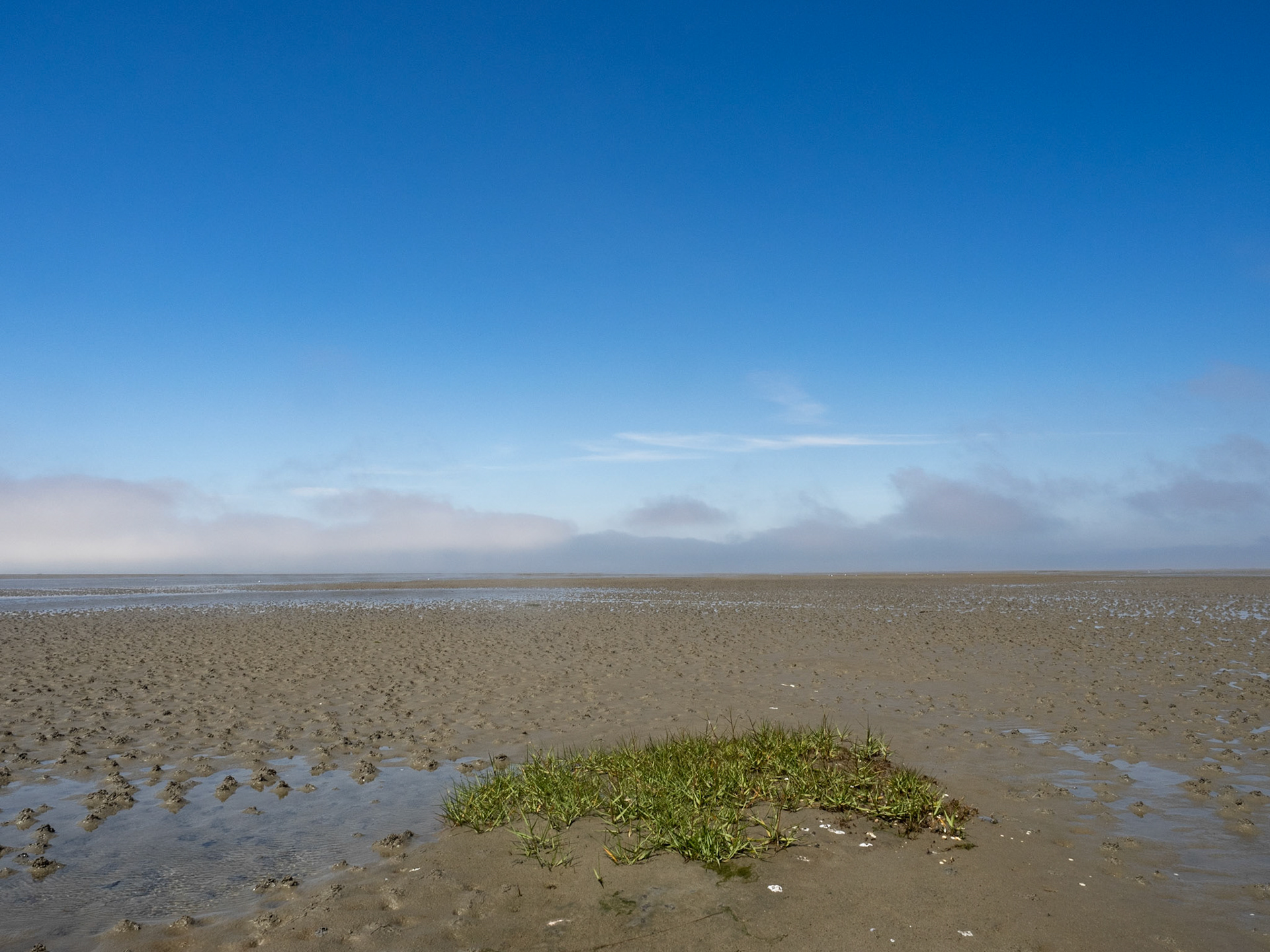 Vadehavet - July 2018