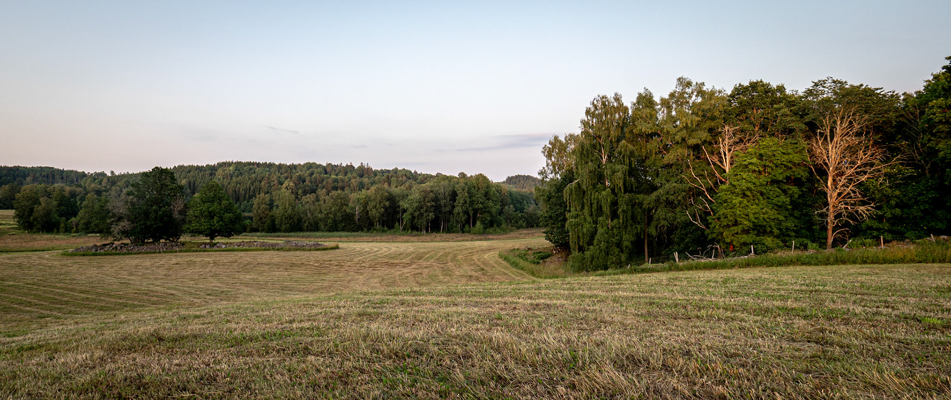 Sweden - Foserum - July 2021