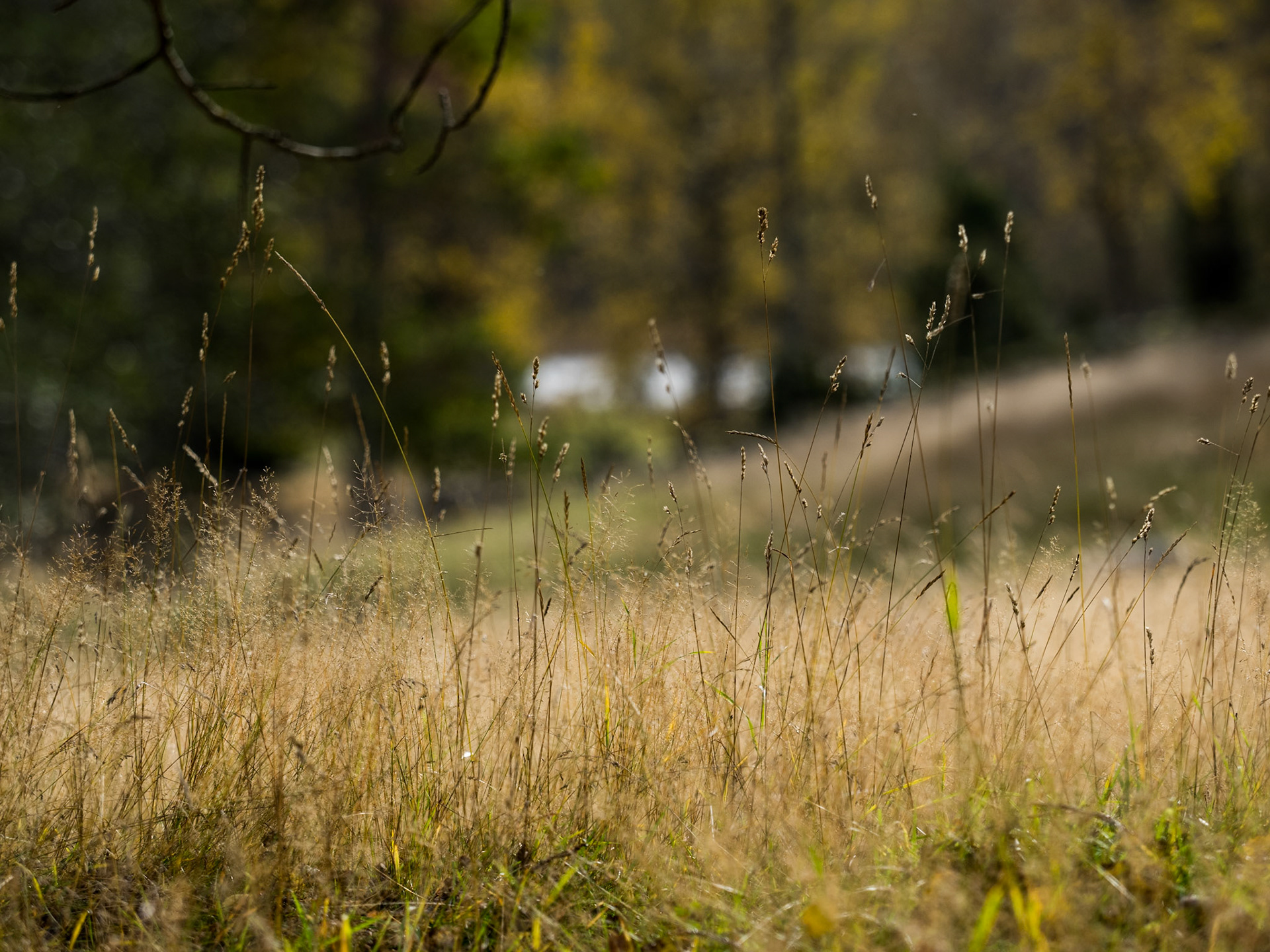Sweden - Foserum - October 2019