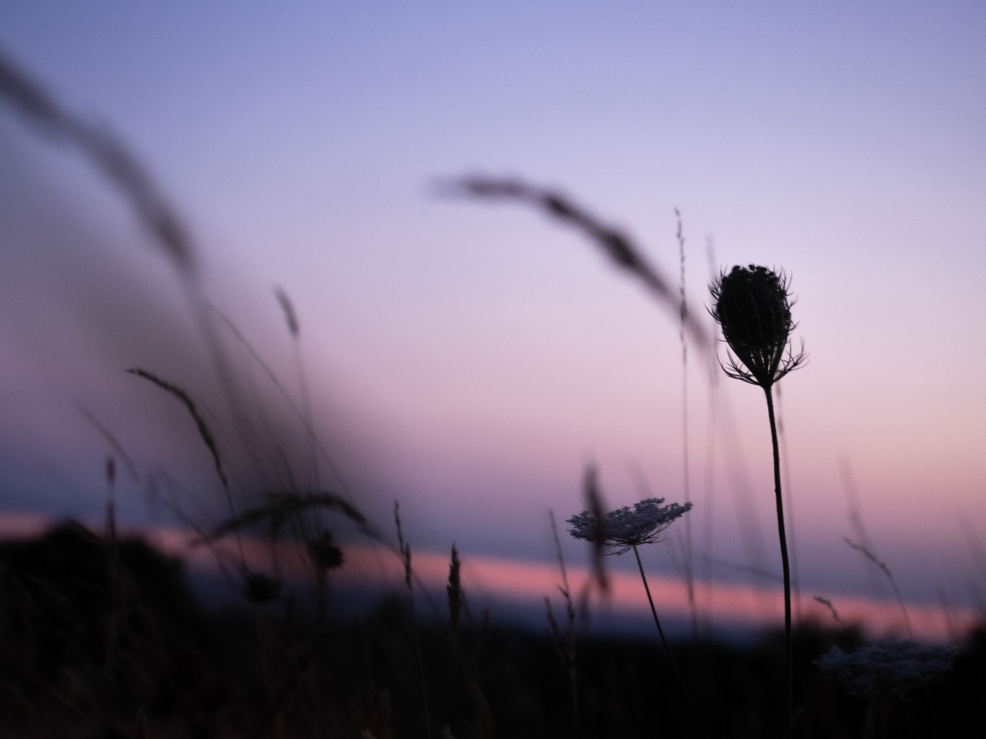 Summer in Denmark