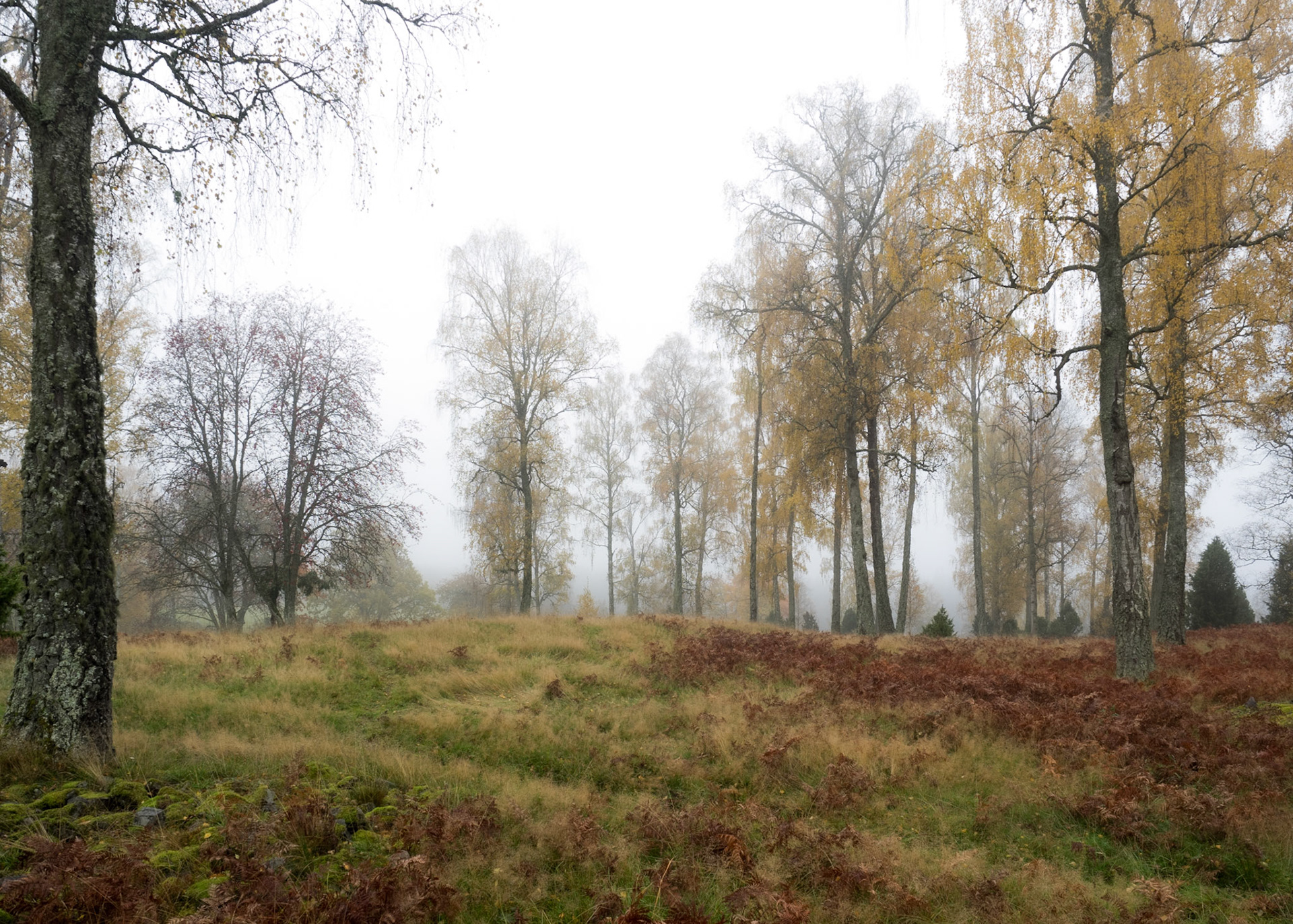 Autum in Småland