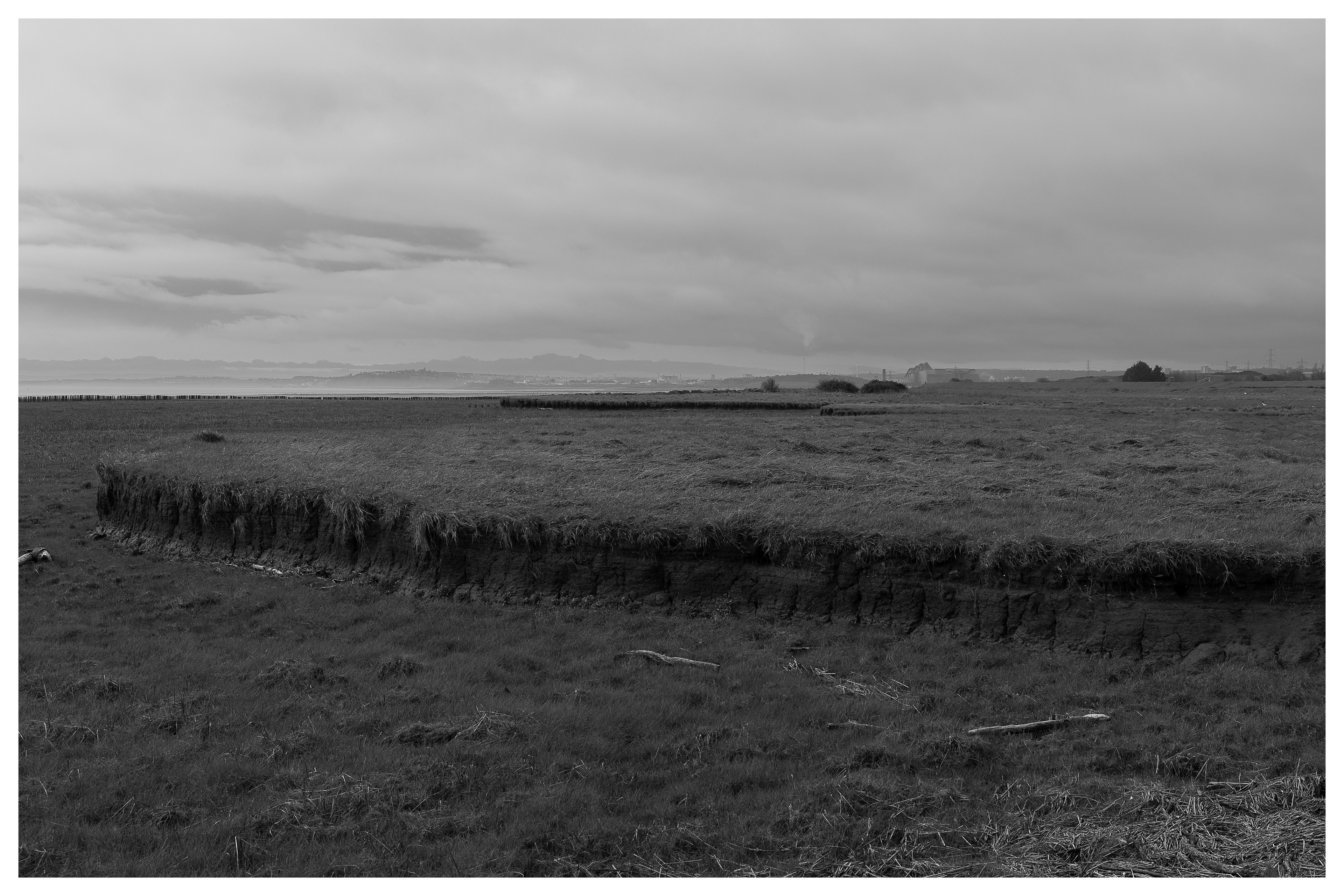 Lynch (mud flat)