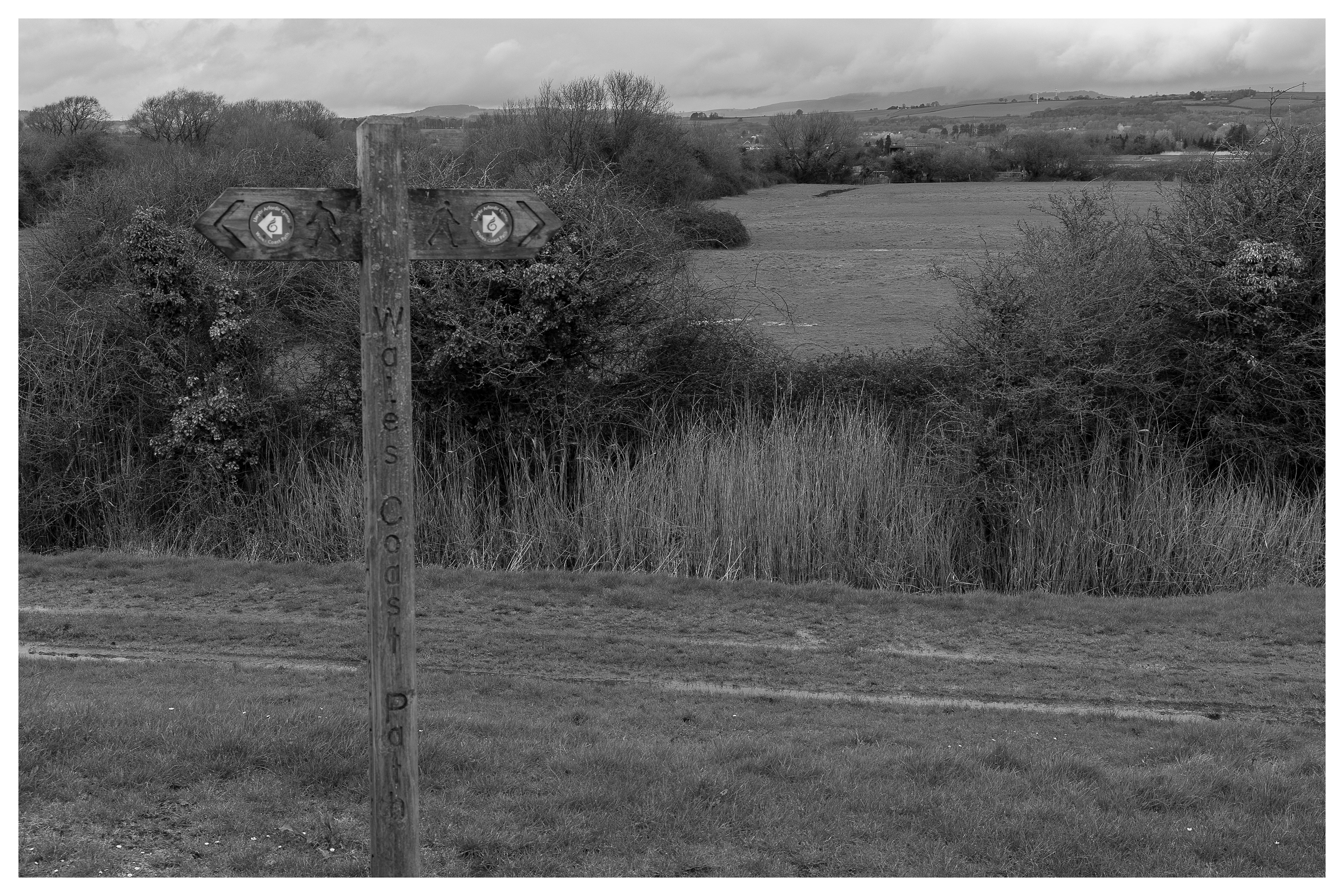 Coast path