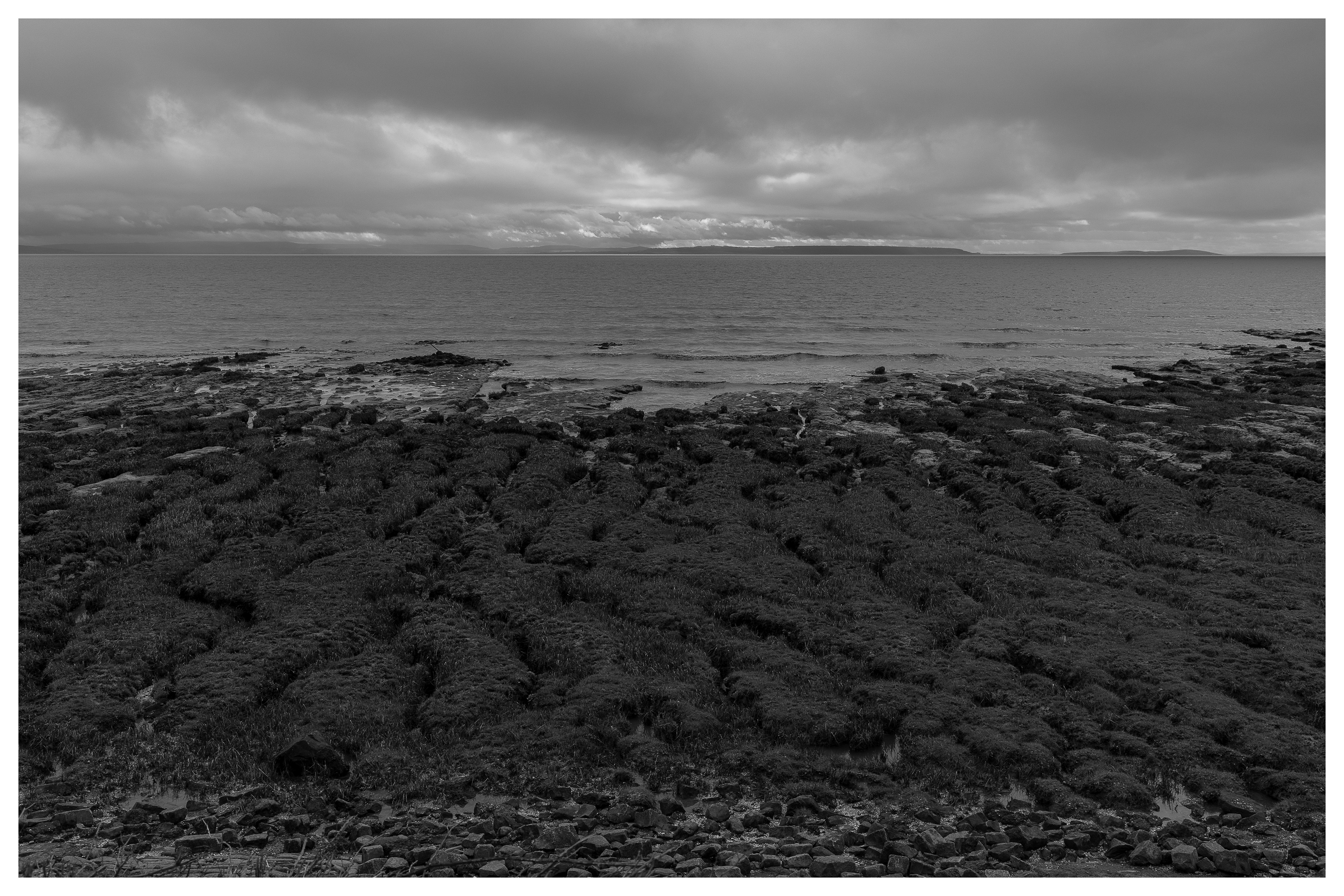 Salt marsh