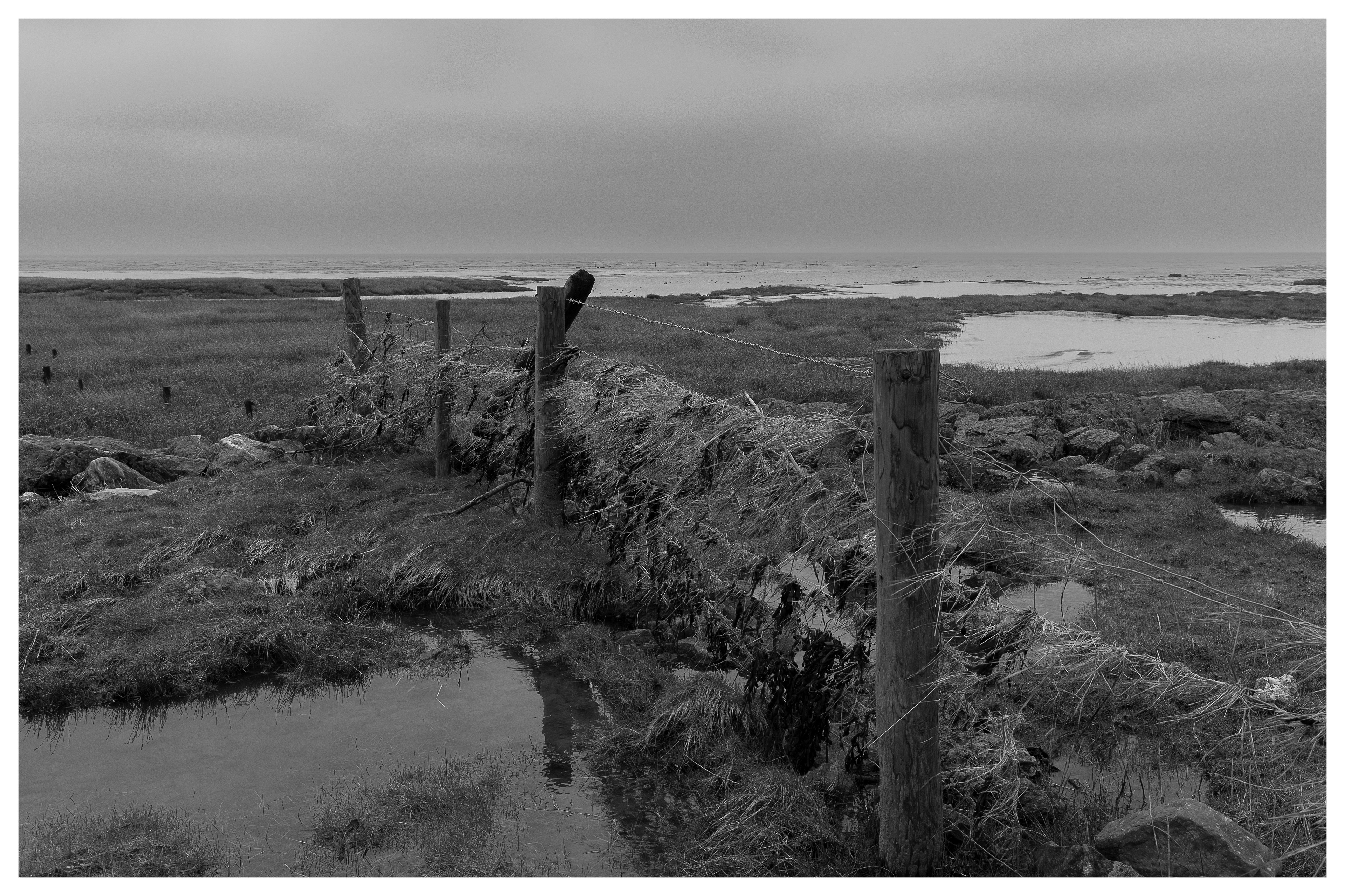 Fence