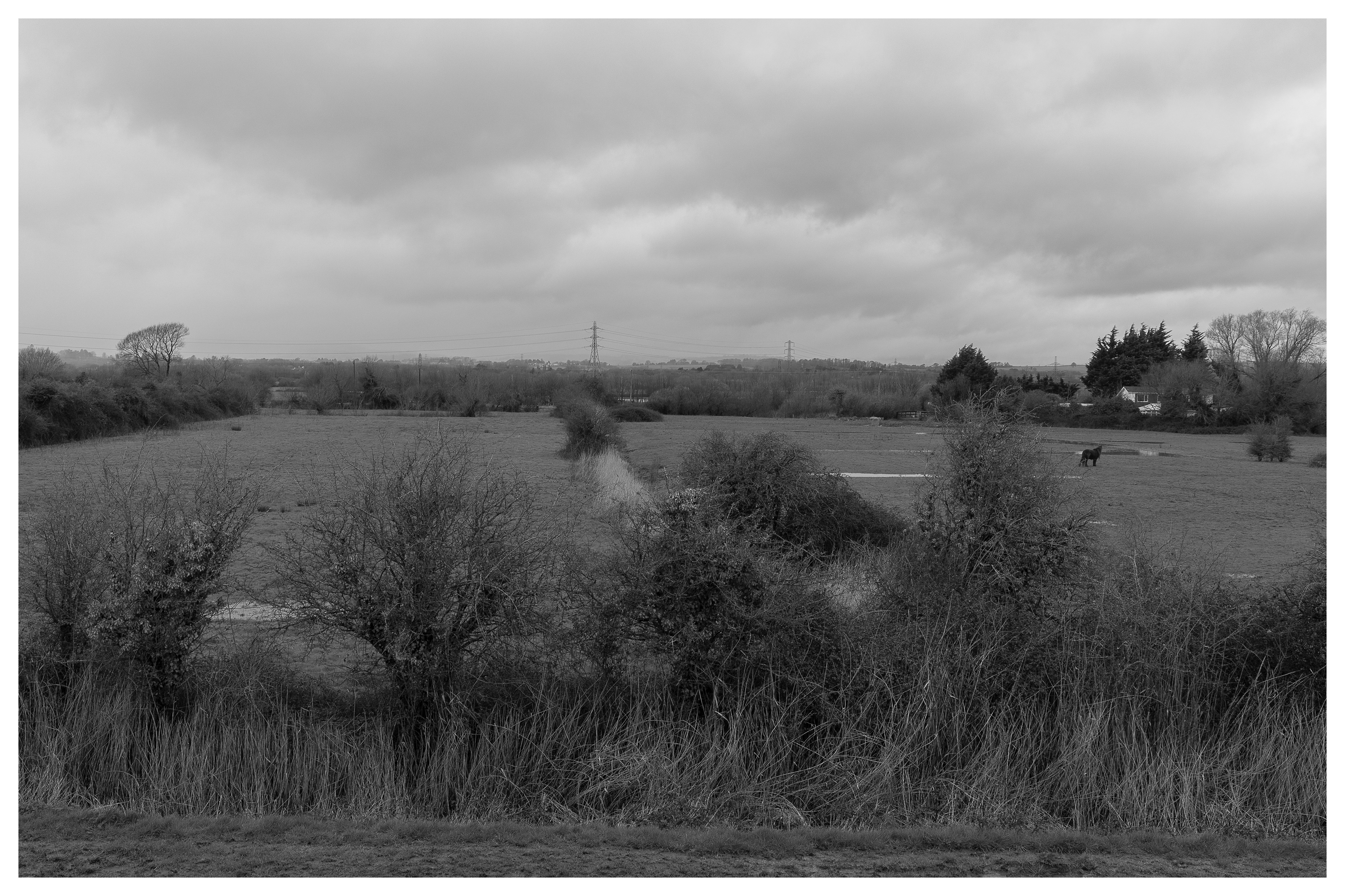 Fields