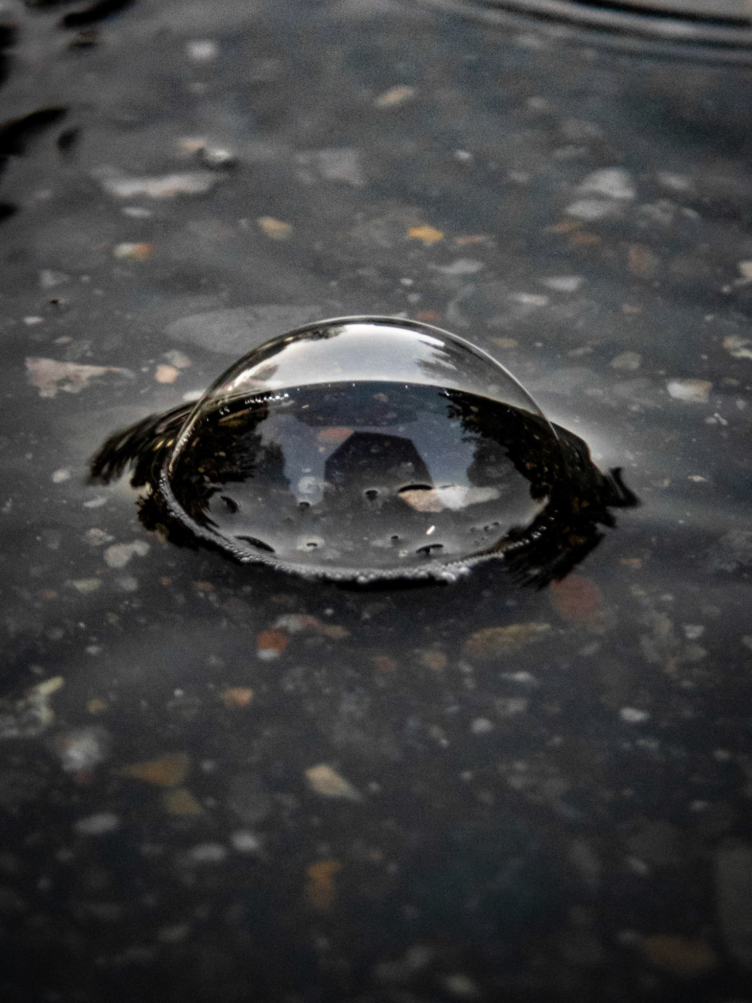 Job 37:5-6, 1 Kings 18:44