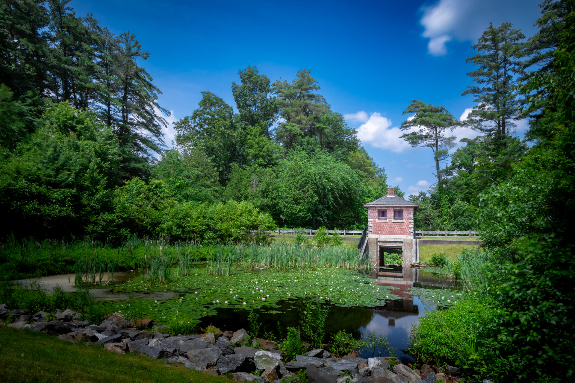 Whitehall Reservoir Hopkinton