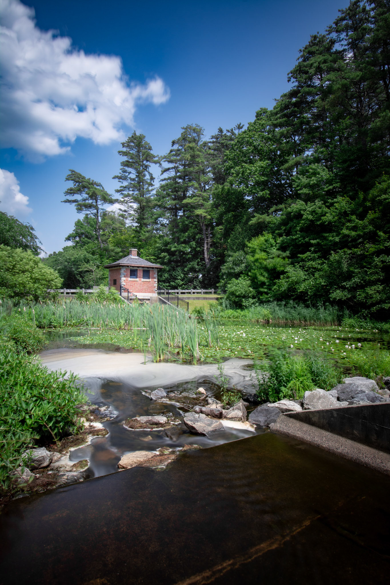 Whitehall Reservoir Hopkinton