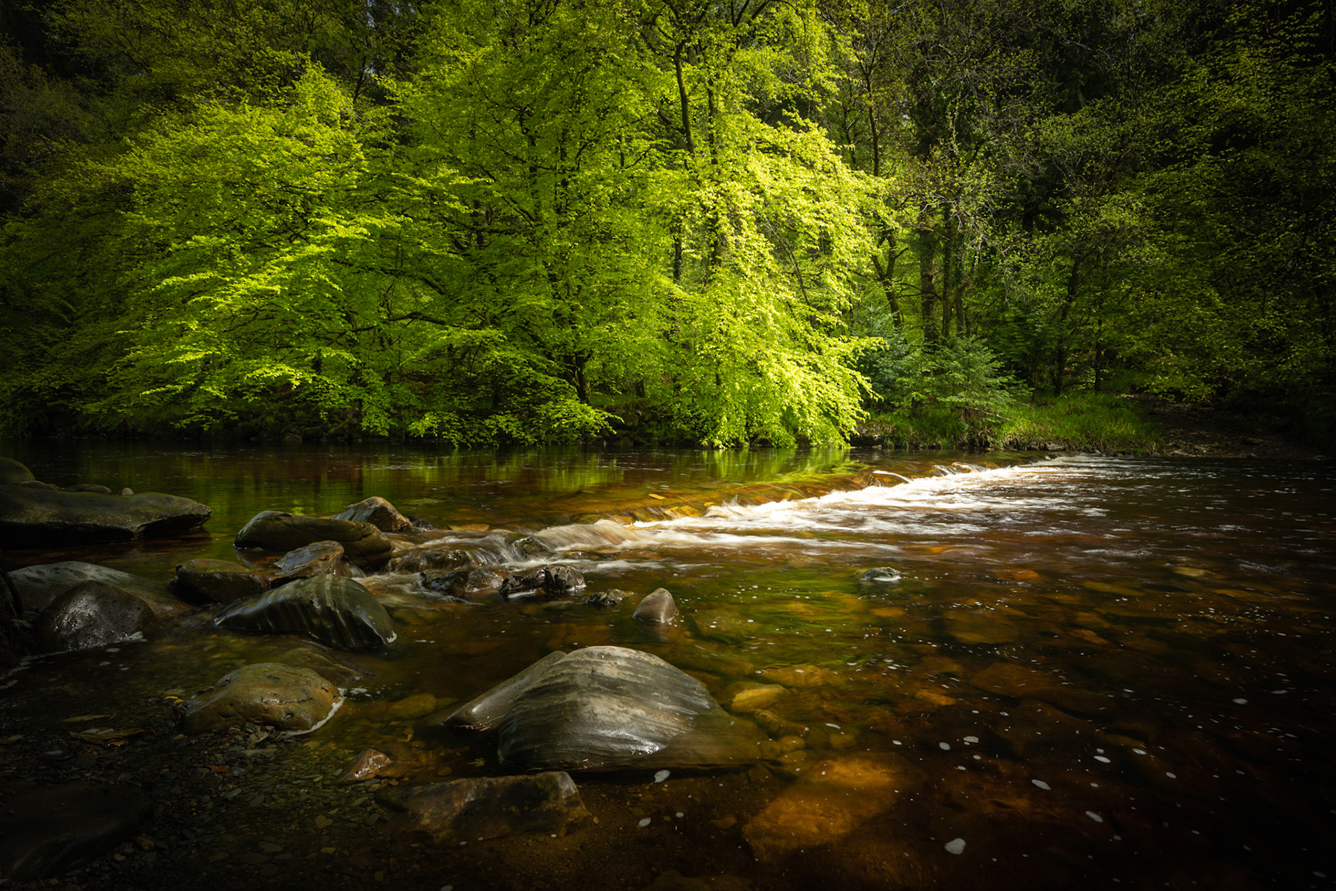 Coed y Brenin Weir