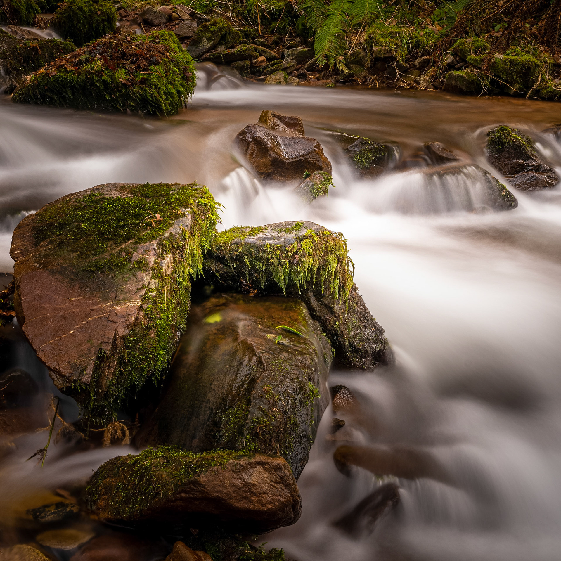 Waters of Exmoor