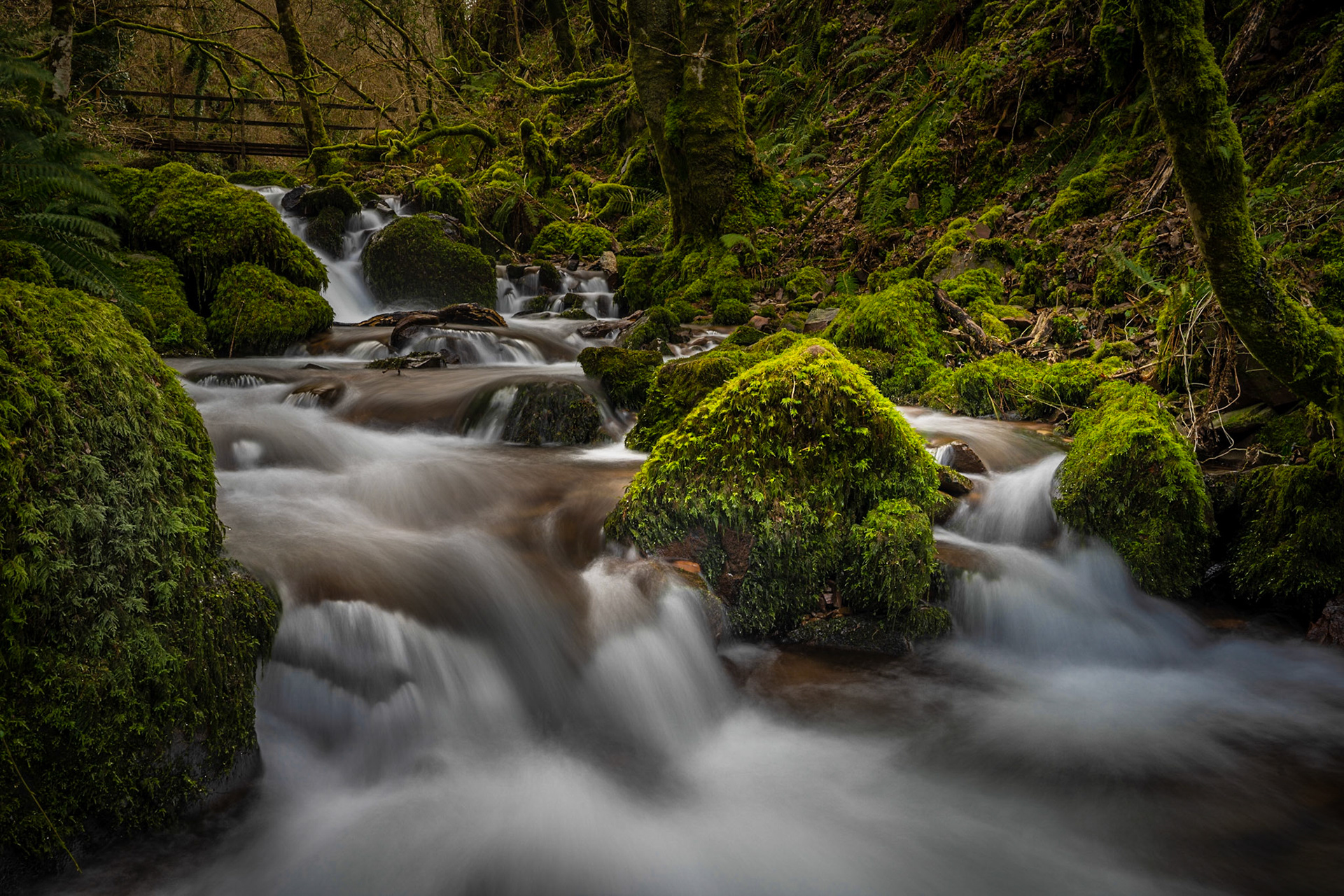 Waterfalls of Exmoor