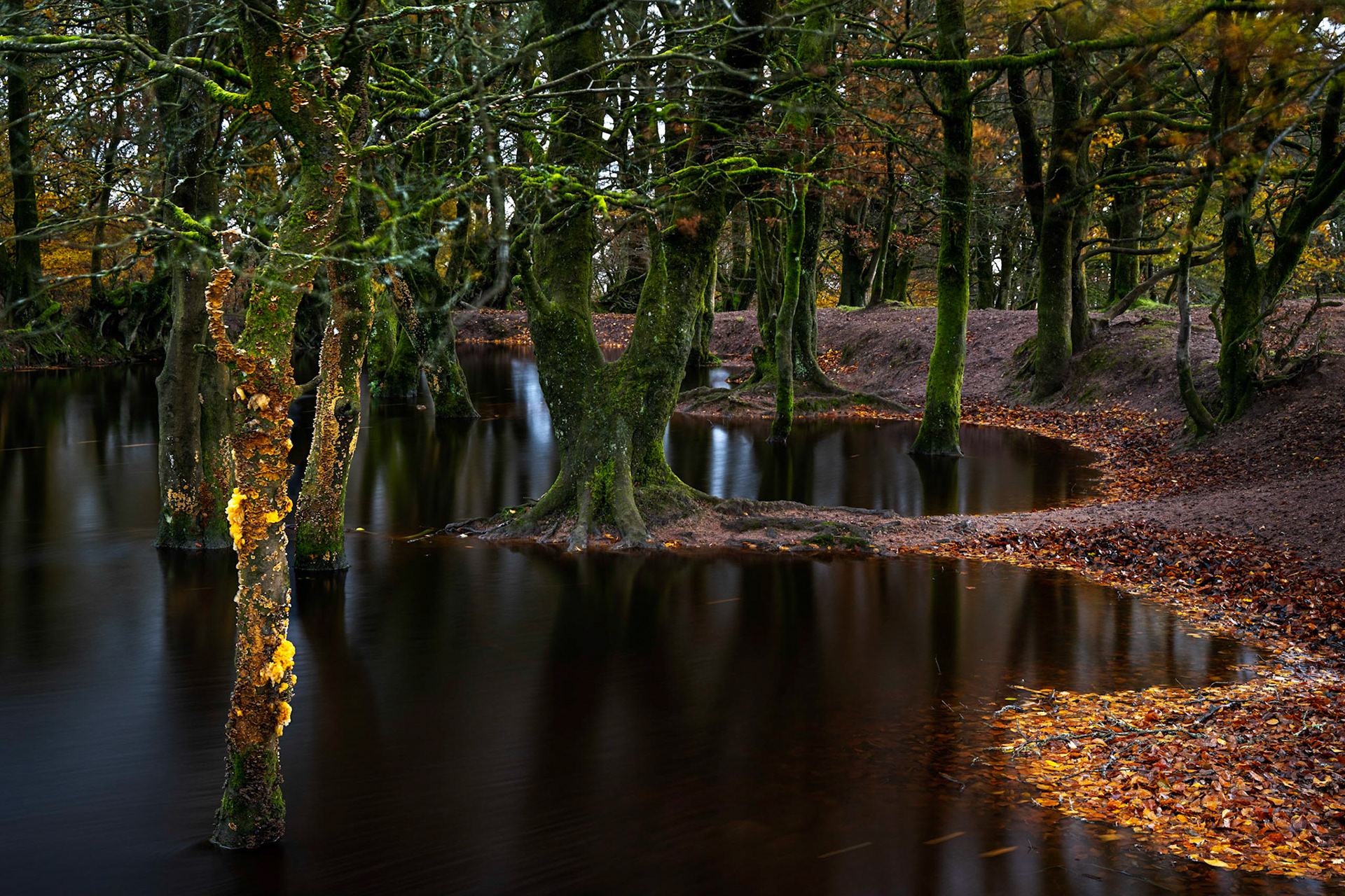 A Quantock Hills Pool
