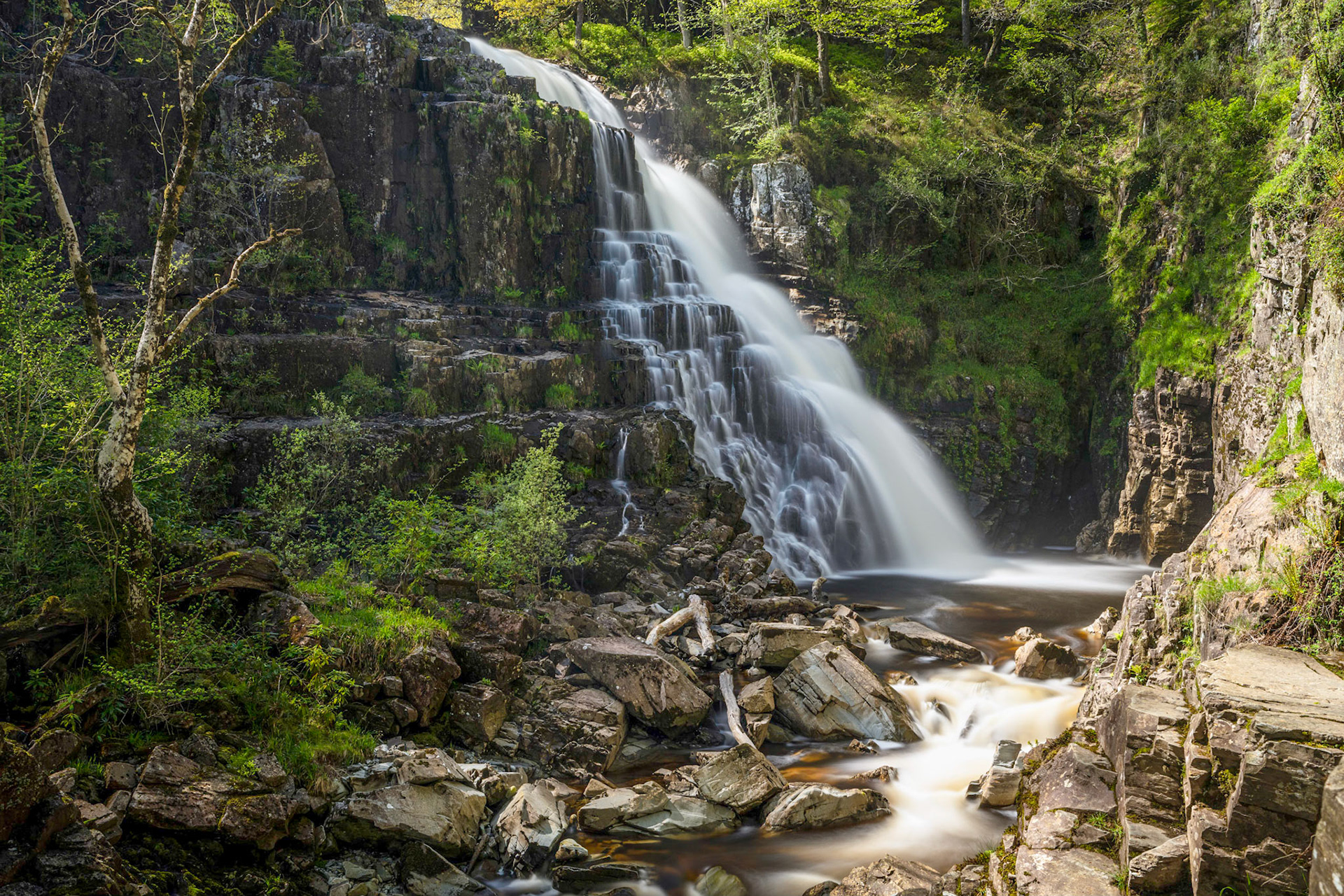 Pistyll Cain, Coed y Brenin