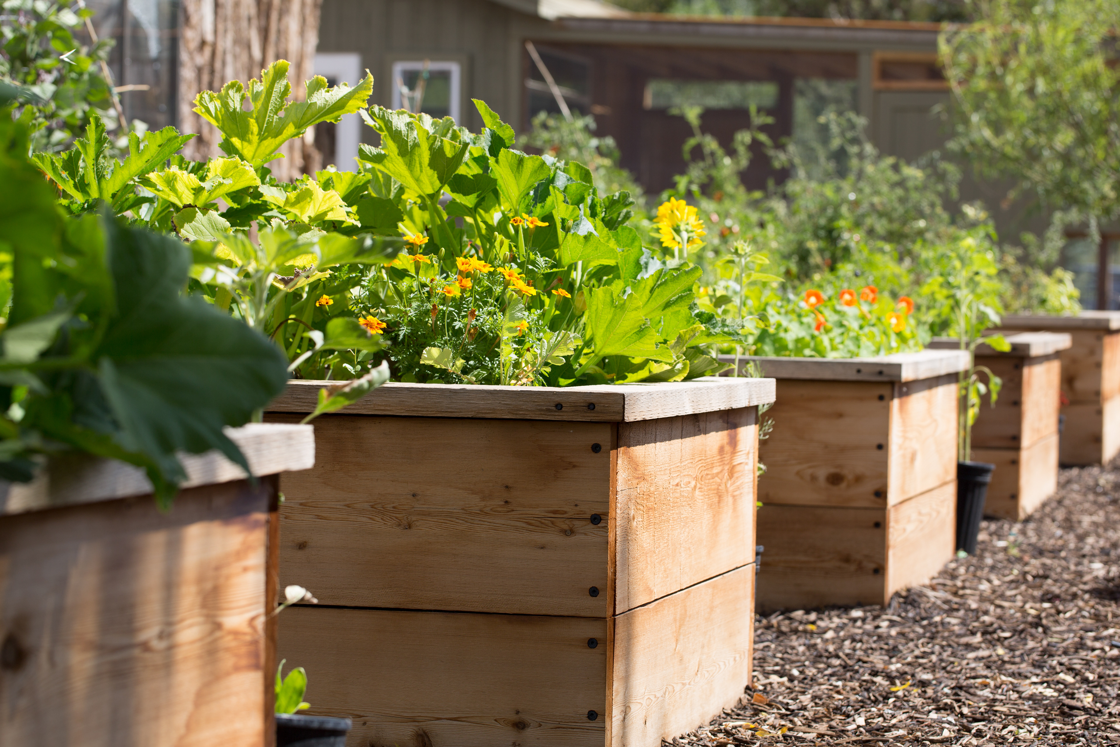 Guests learn about horticulture in the garden.