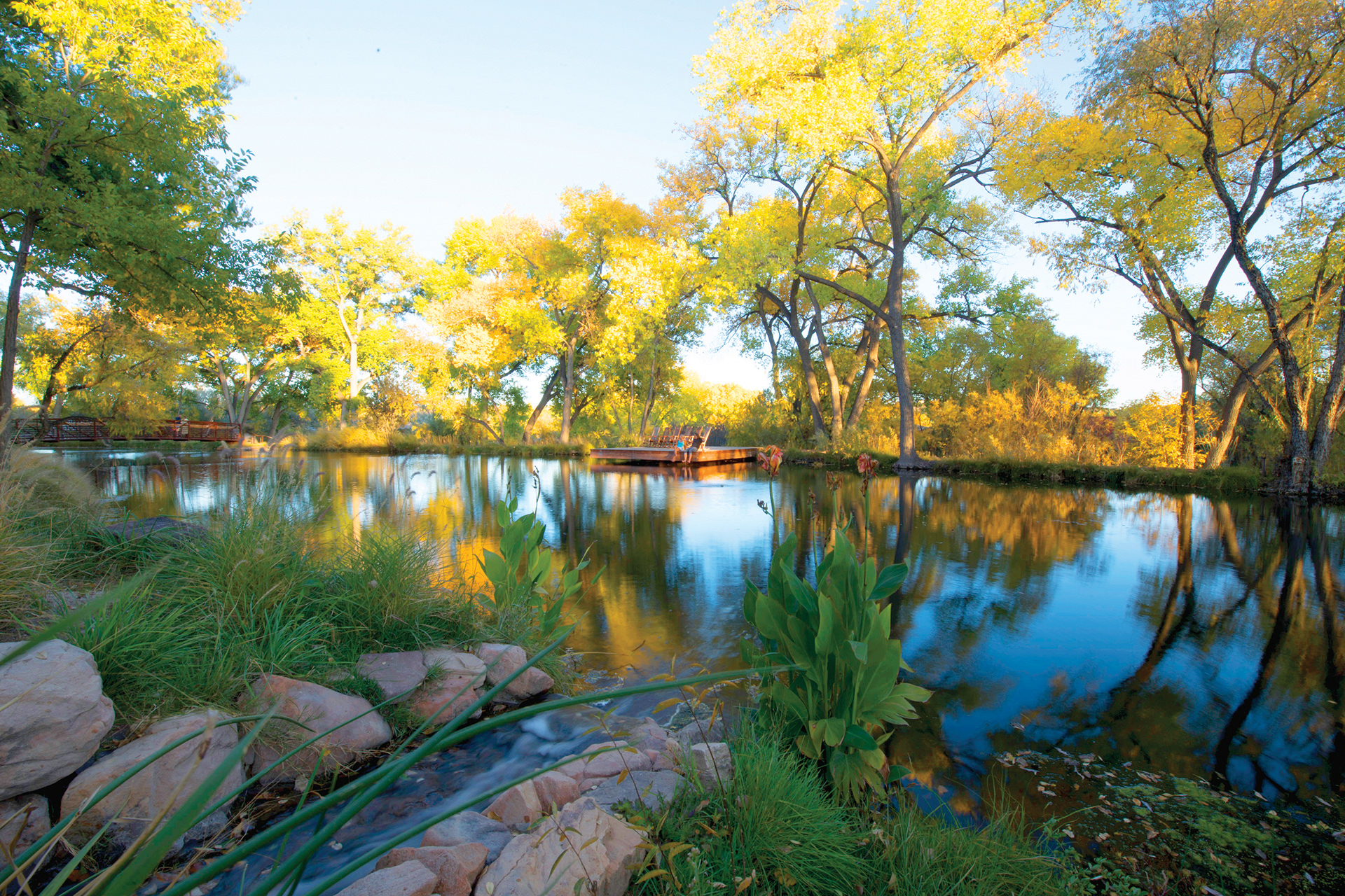 Main spring-fed pond.