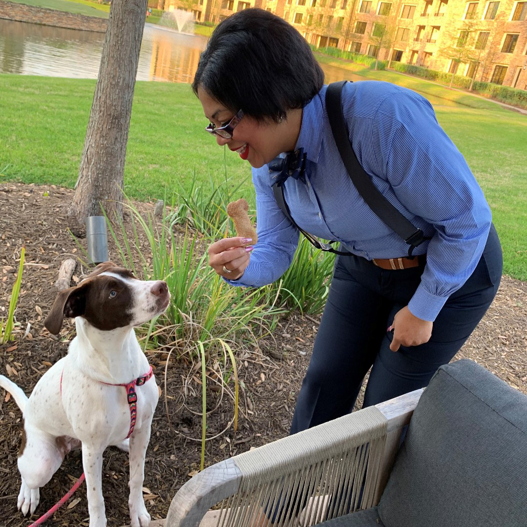 Yappy Hour on Robard's patio.