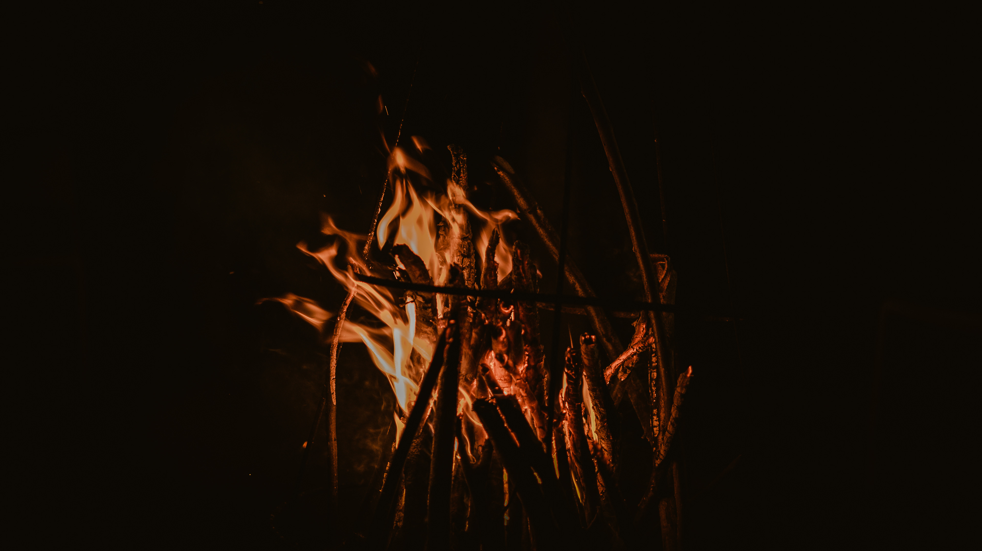 CAMPFIRE IN THE WOODS