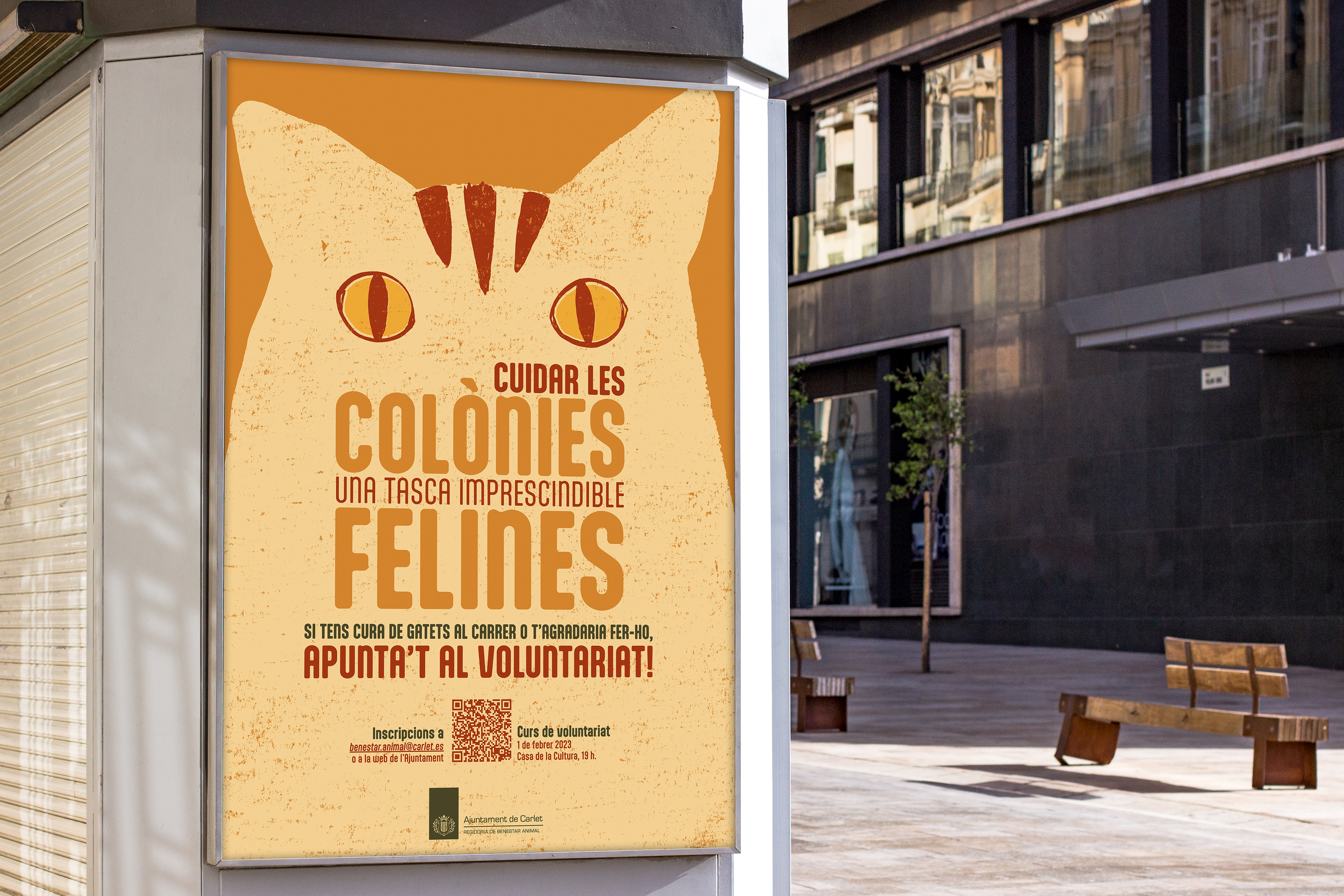 Campaña física