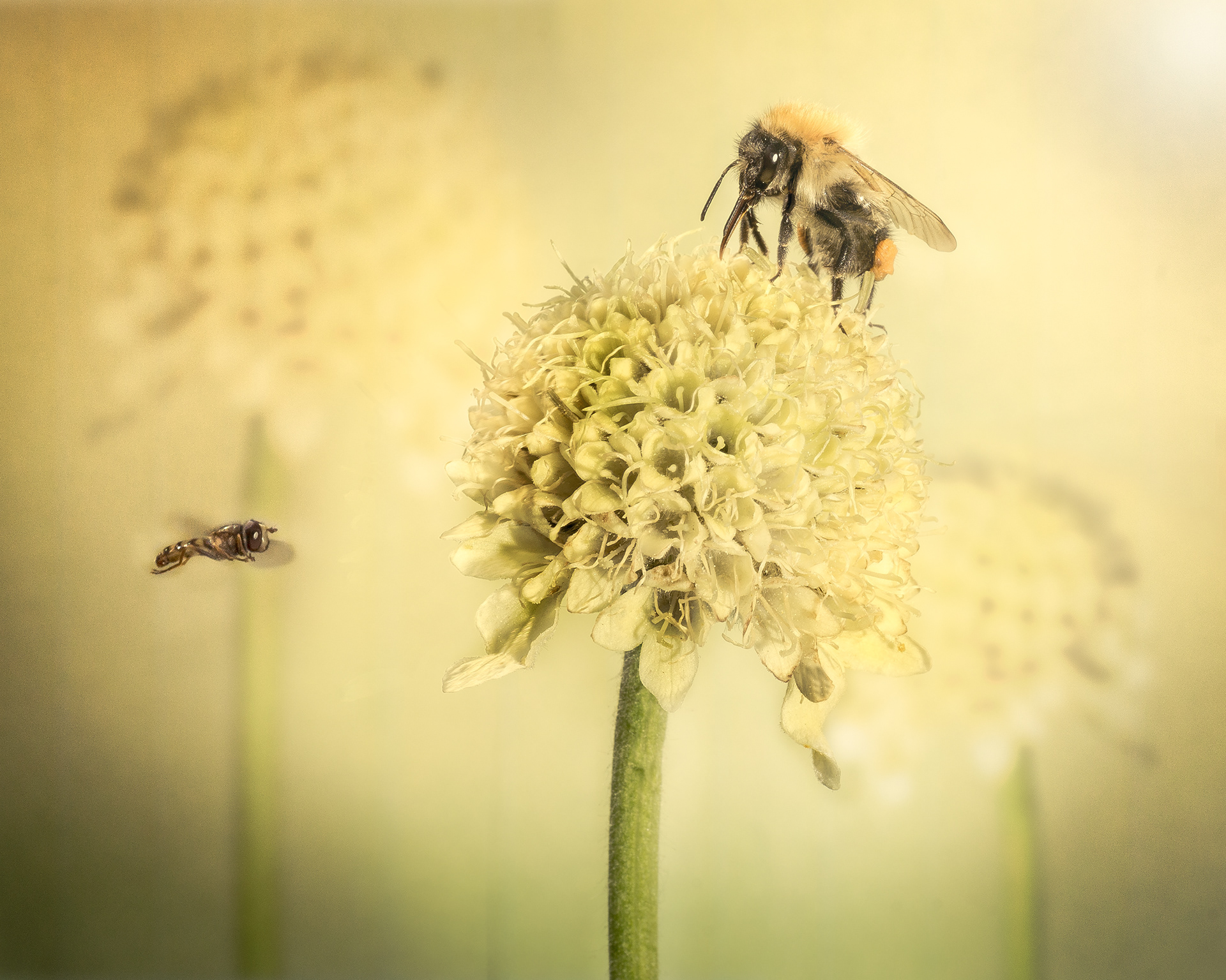 Capturing Moments Martin Duffy Photography Nature capturing-moments-martin-duffy-photography-nature