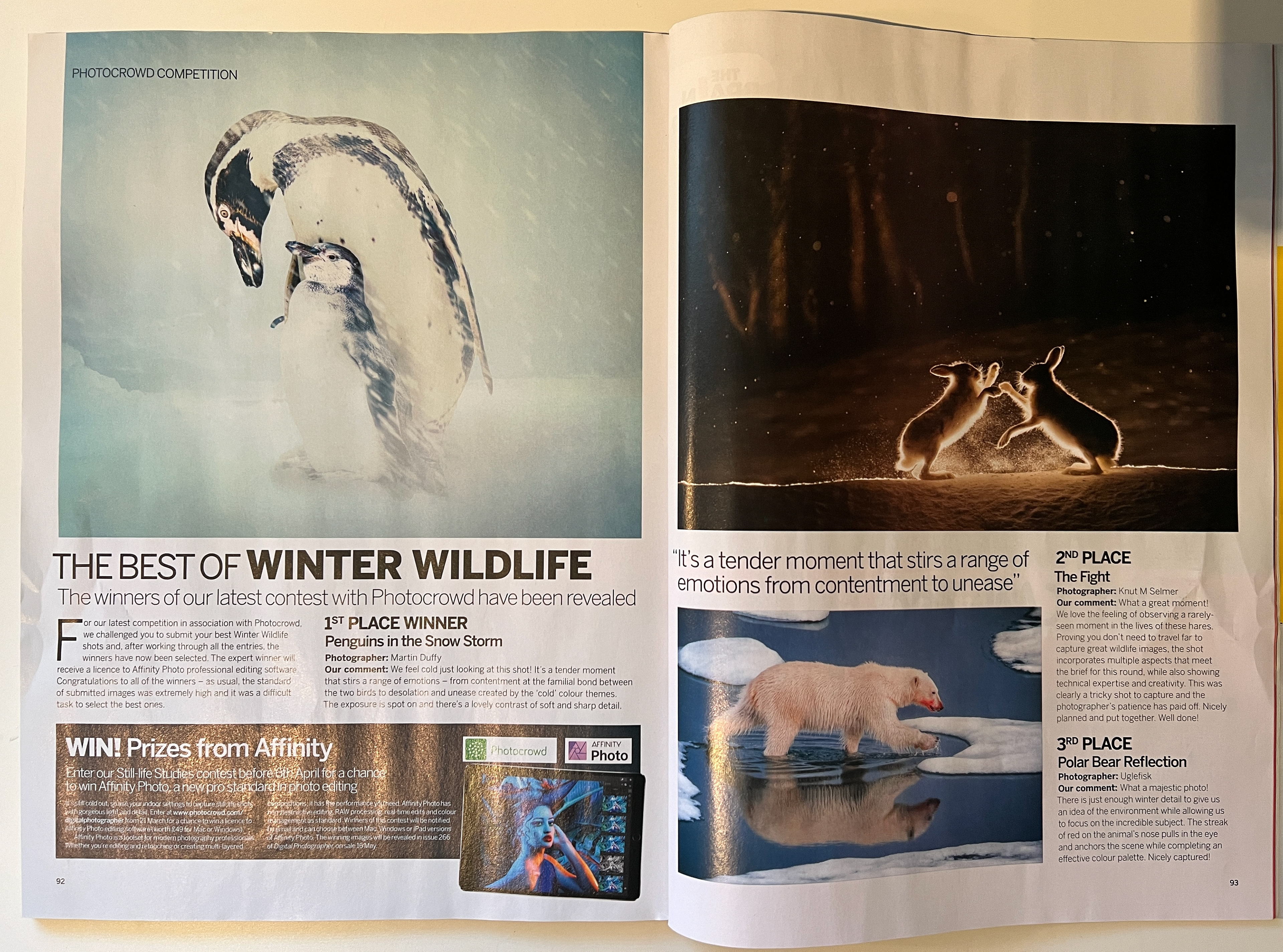 An open magazine spread showcasing the winners of a photography competition by Photocrowd titled "The Best of Winter Wildlife." The left page features the 1st Place Winner, "Penguins in the Snow Storm" by Martin Duffy, depicting a touching moment between two penguins amidst falling snow. The right page highlights the 2nd Place photo, "The Fight" by Knut M Selmer, capturing two hares in a dynamic pose during a fight in the snow, and the 3rd Place image, "Polar Bear Reflection" by Dagfrid Ugletveit, showing a polar bear walking on ice with its reflection visible in the water. The spread includes comments on the winning photos and a promotion for Affinity photo software.