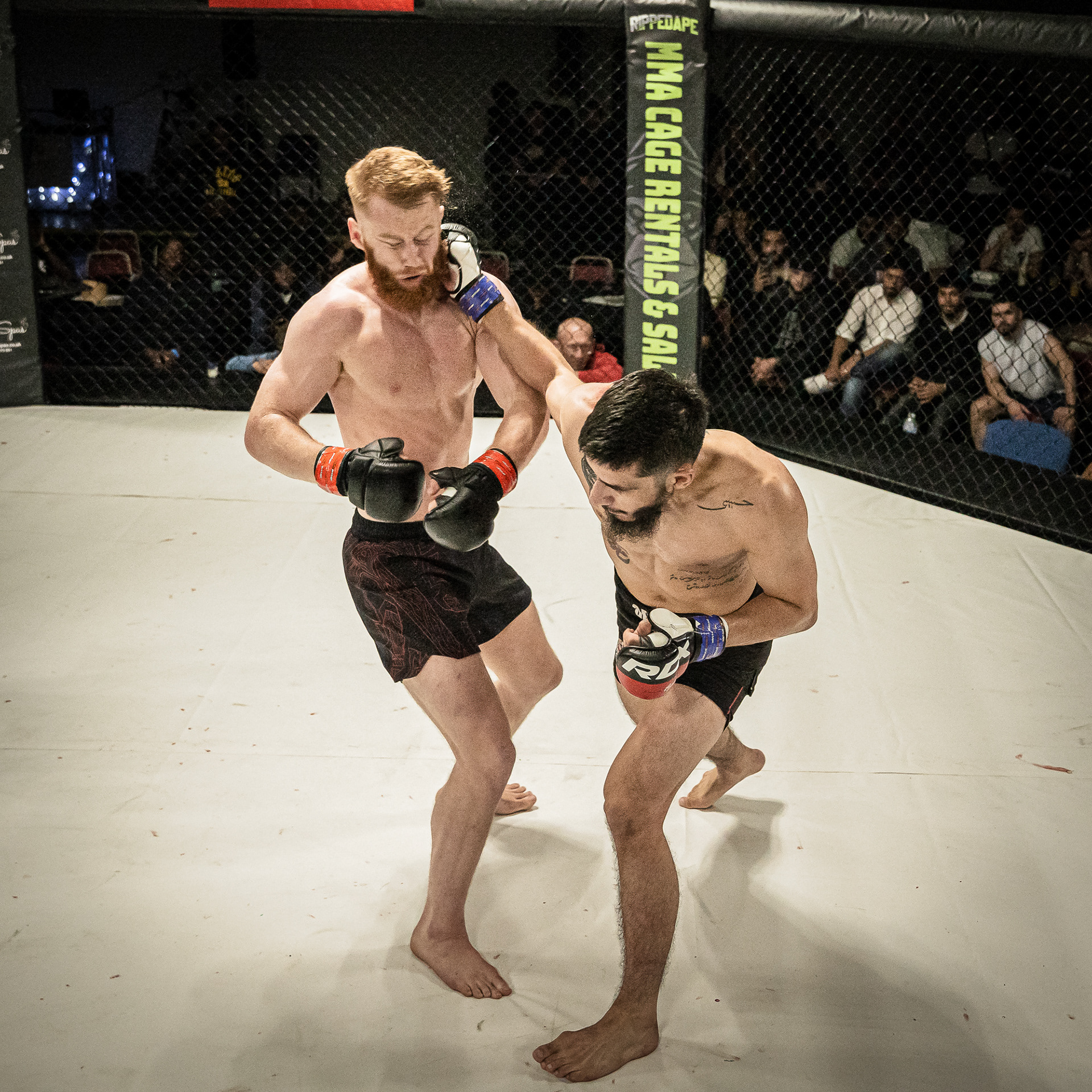 2 MMA fighters shot by a photographer with a heavy punch to the jaw